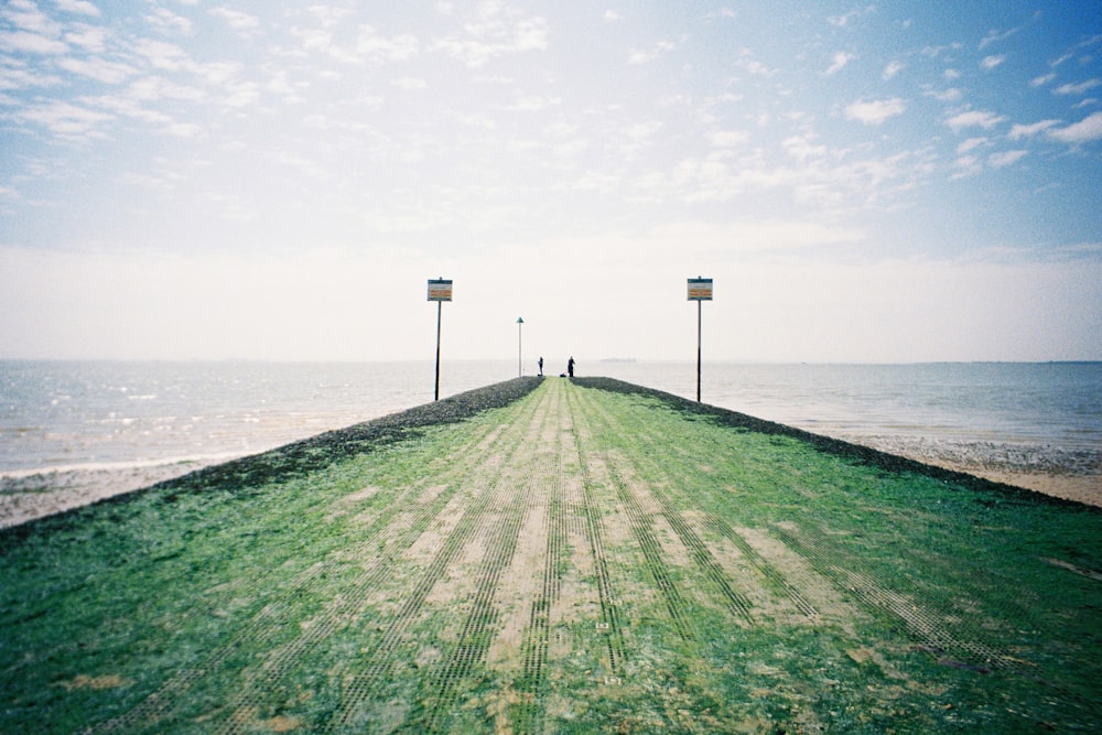 campo di erba verde vicino al mare sotto il cielo bianco durante il giorno