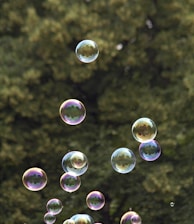 green and white bubbles during daytime