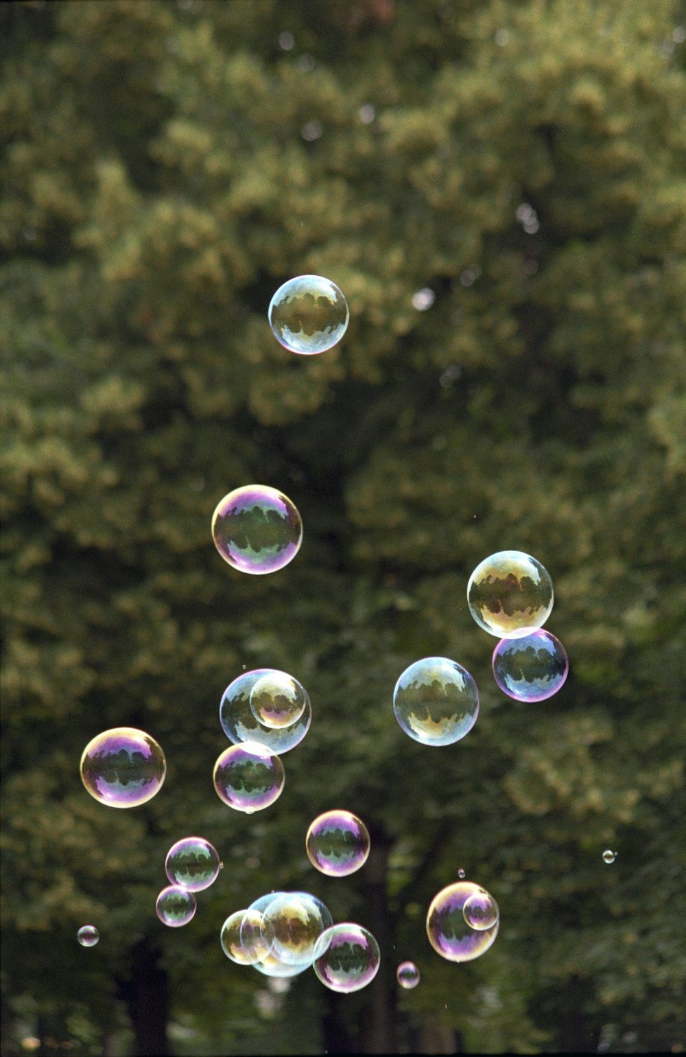 Burbujas verdes y blancas durante el día