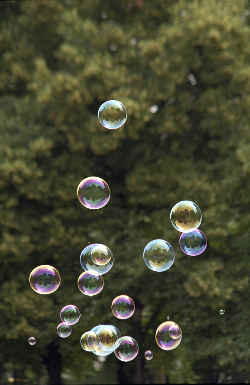 Blowing Bubbles Pictures [HQ]  Download Free Images on Unsplash