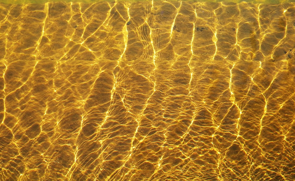 body of water during daytime