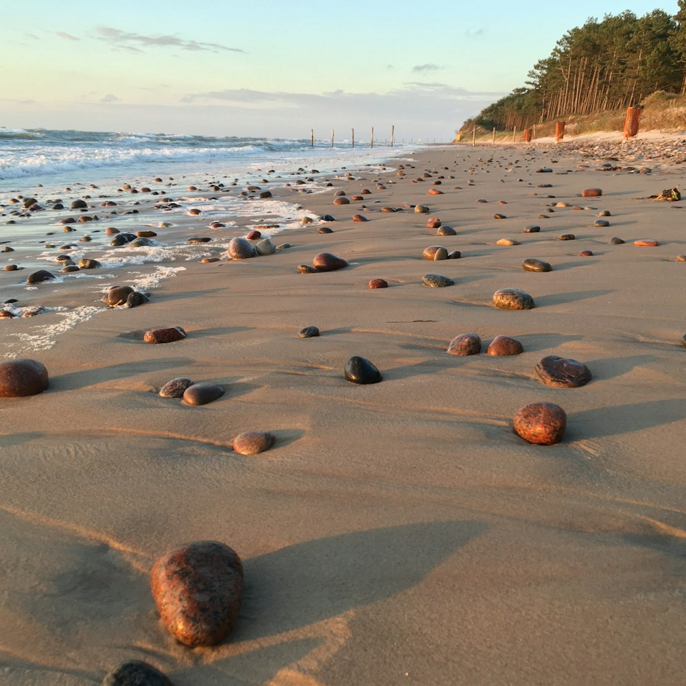 brown and black stones on beach shore during daytime