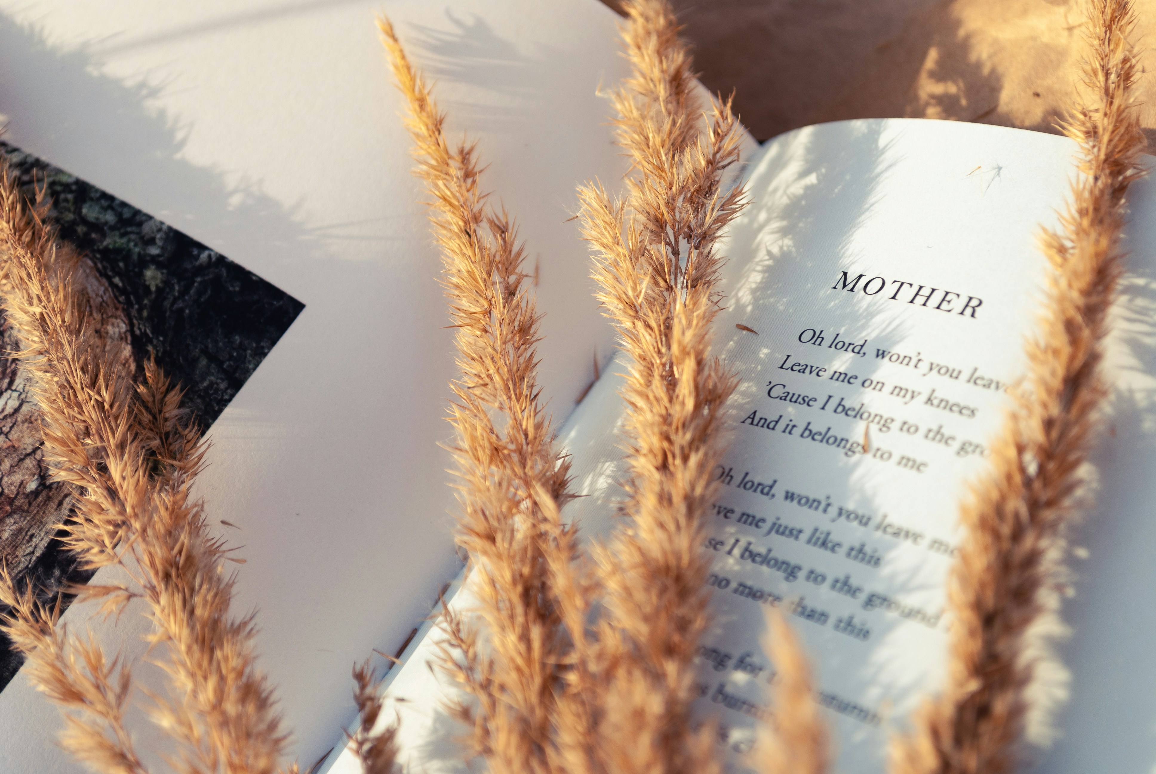 מראה טבעי ושלו