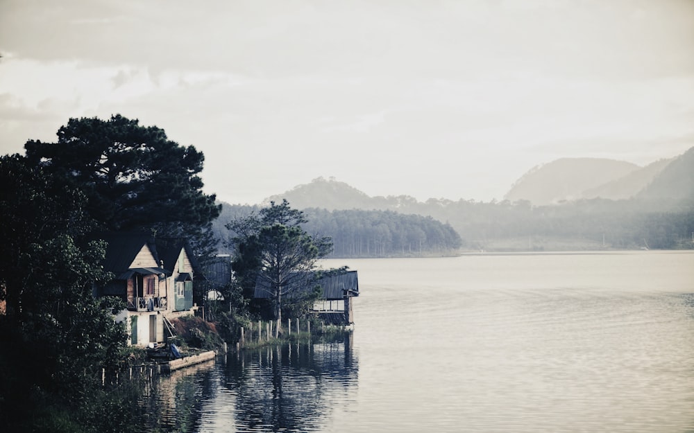 white and brown house on body of water during daytime