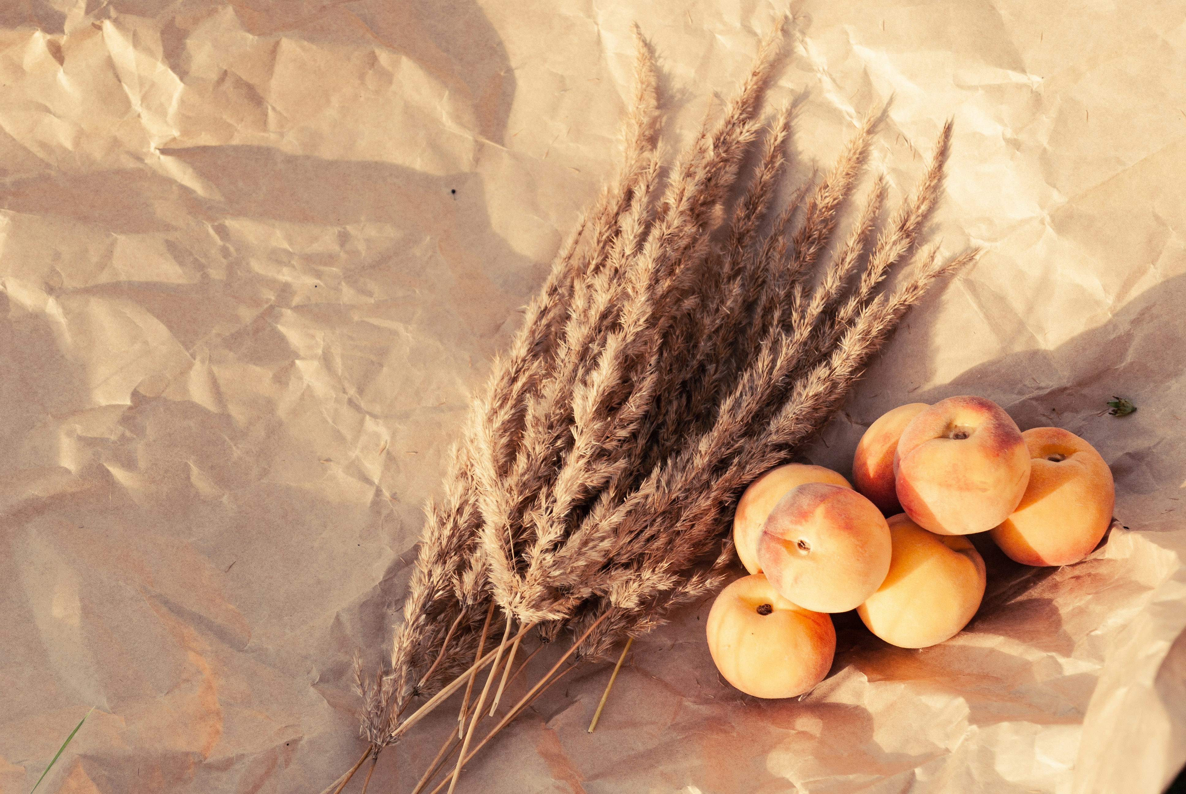 brown and white round fruits on brown nest