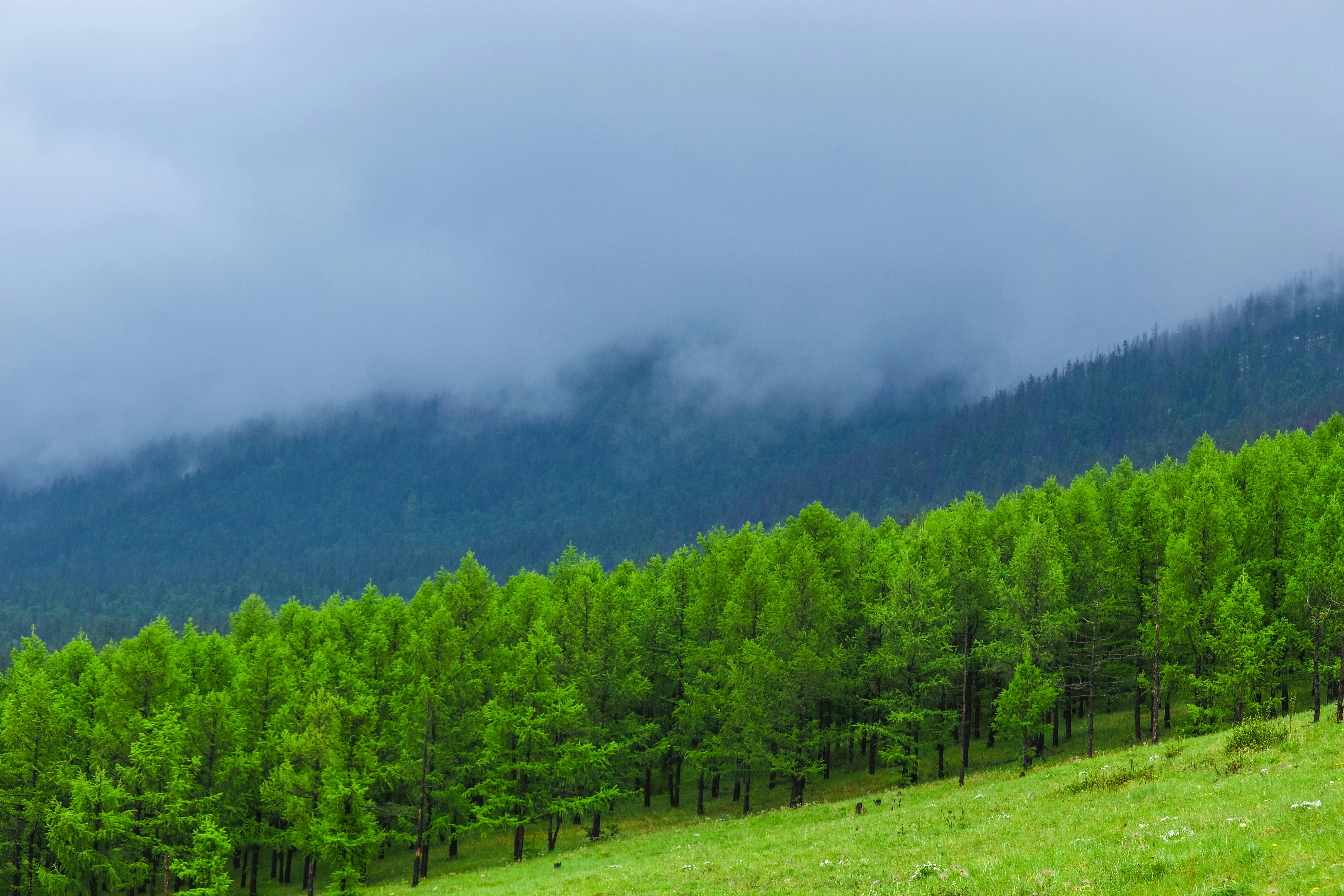 Photo by bythepeople