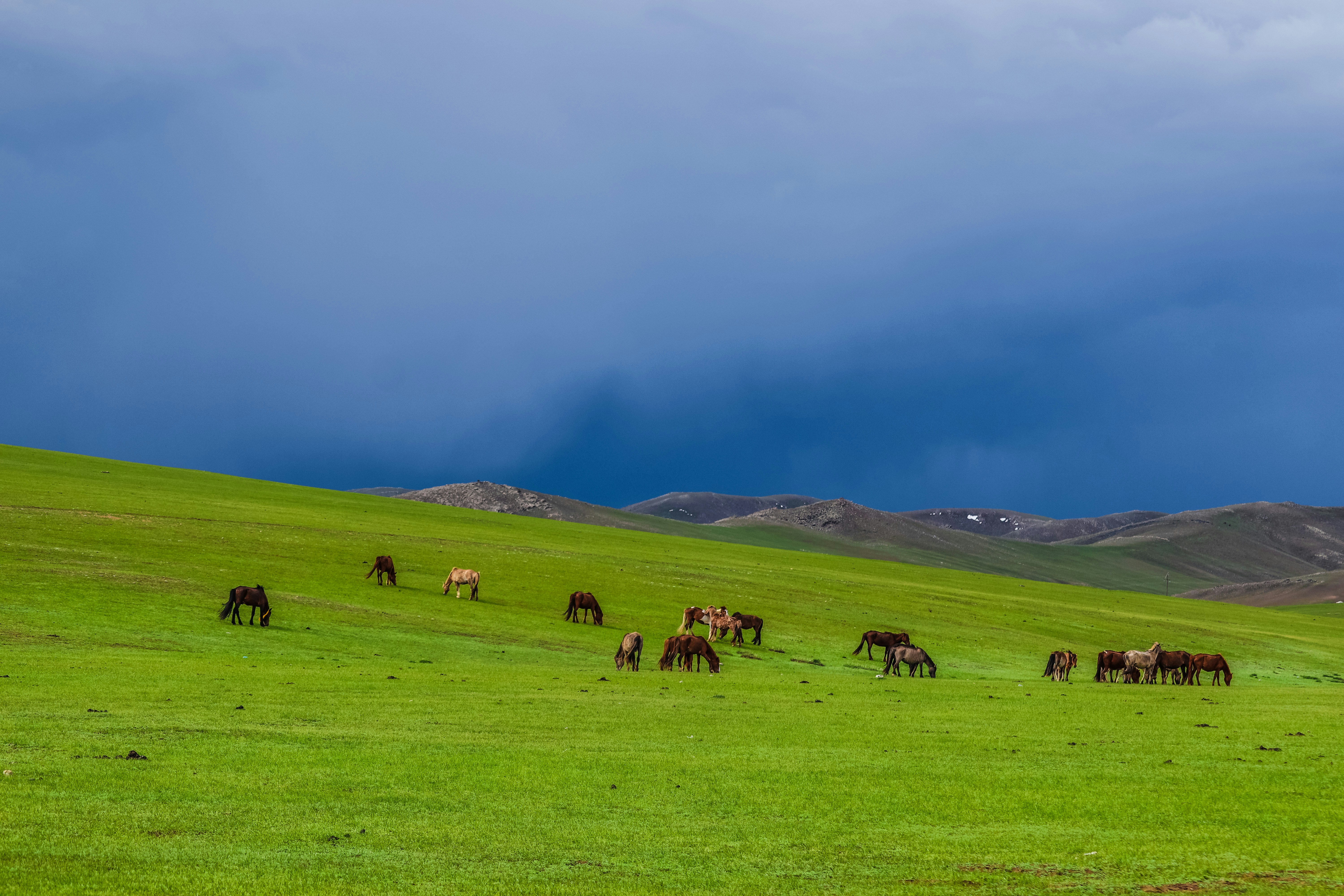 Photo by bythepeople