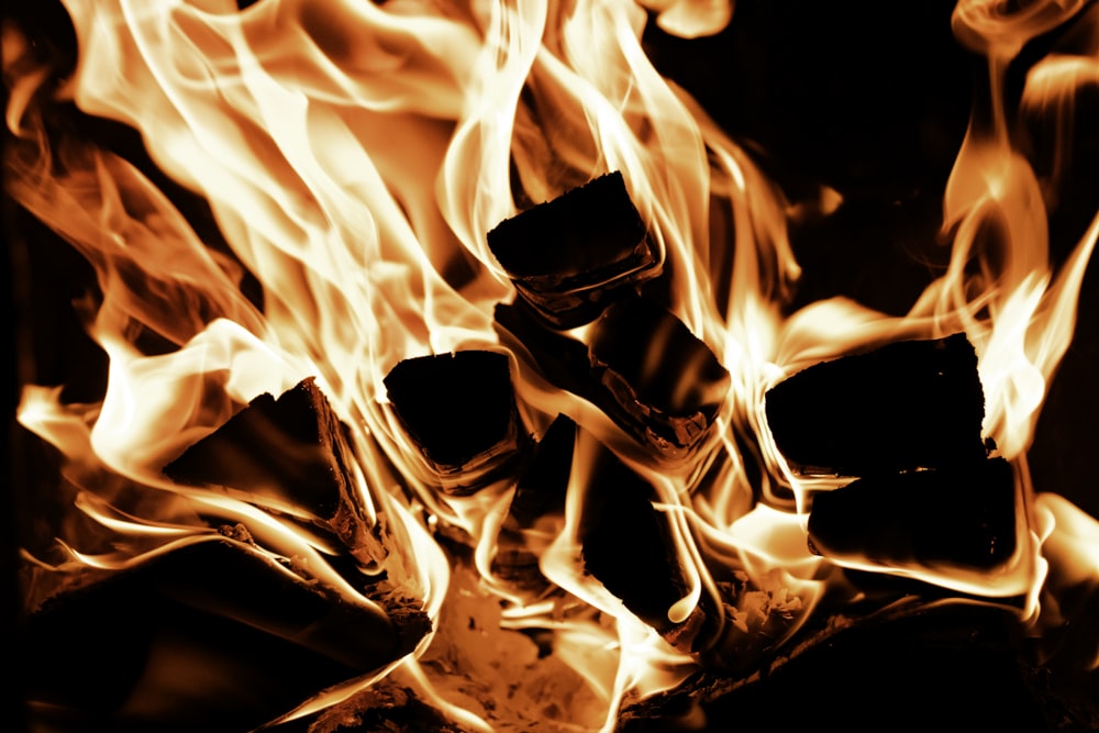 fire in close up photography