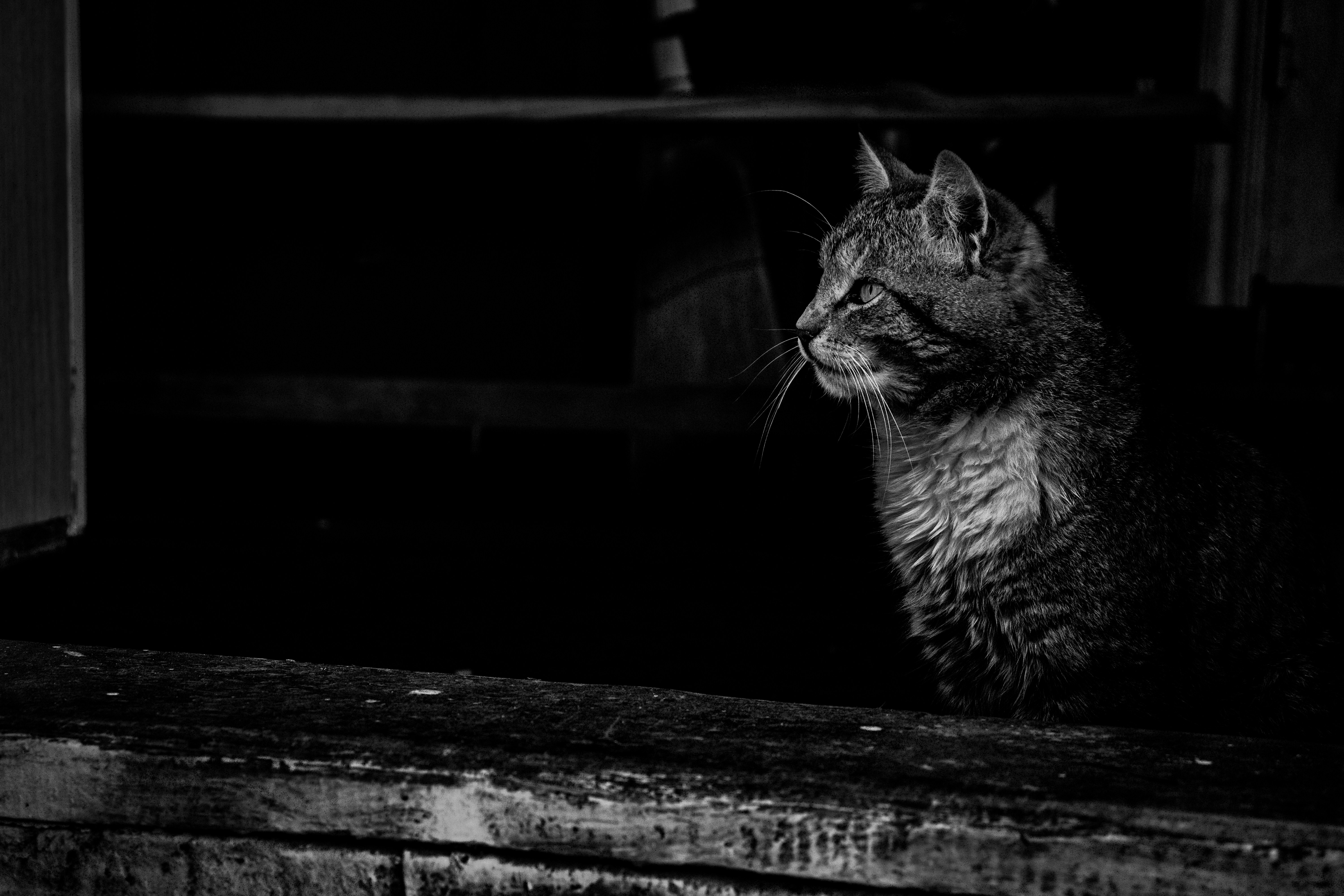 Photo by annadyakov1999