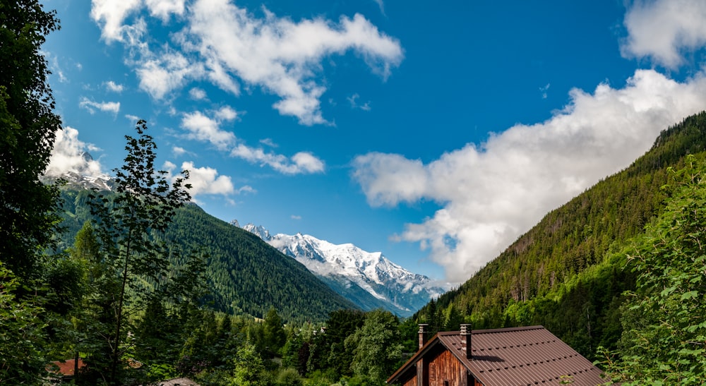 árvores verdes e montanhas sob o céu azul durante o dia