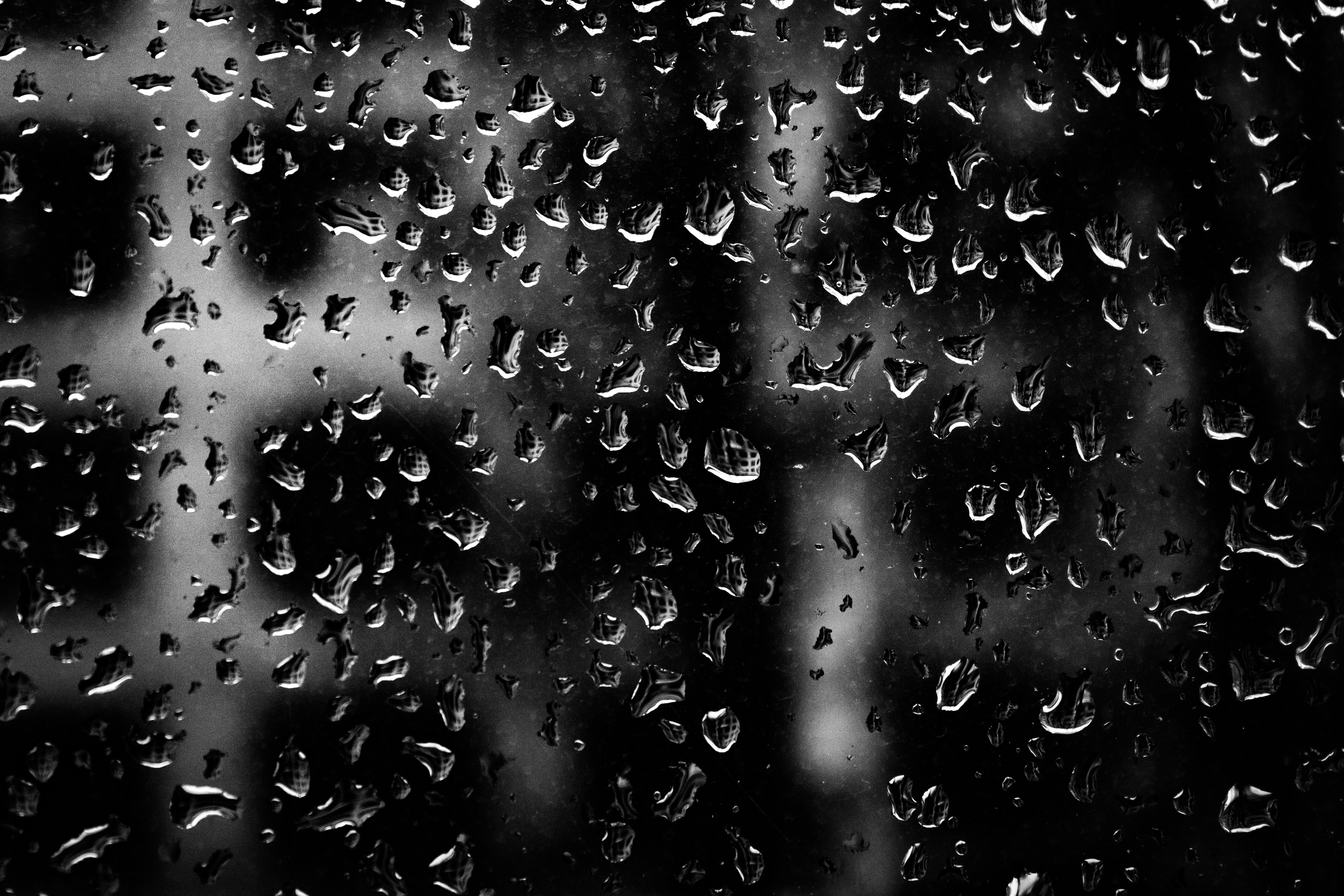 Photo by annadyakov1999