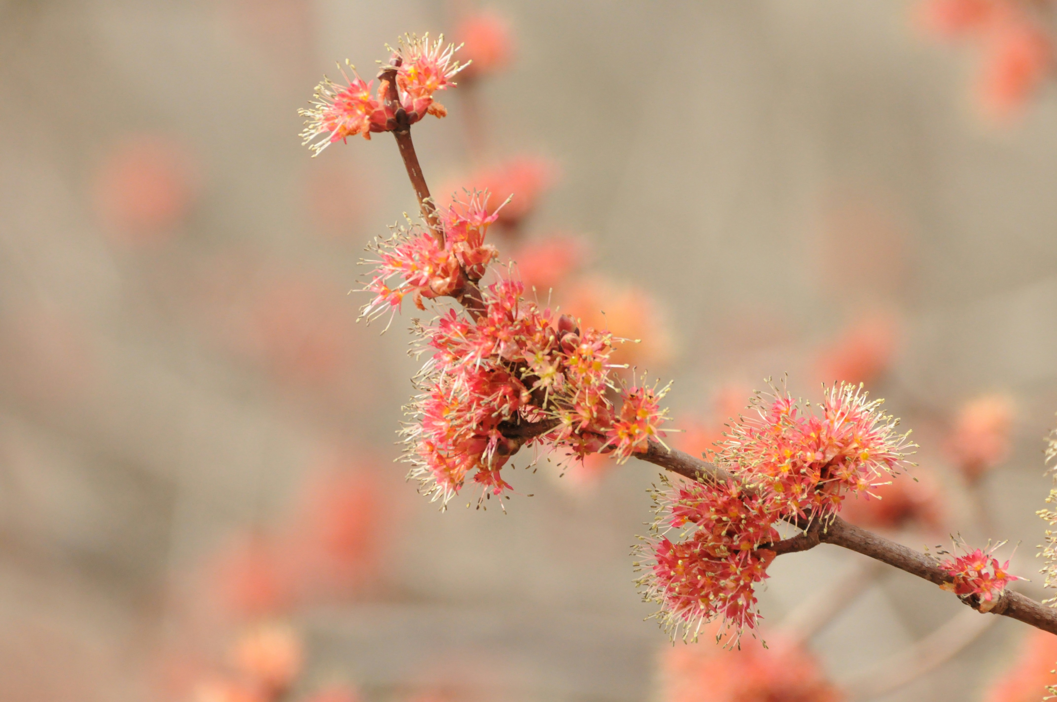 Photo by jryandoherty