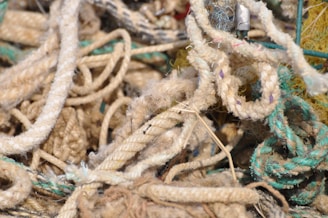 An assortment of tangled and intertwined ropes in various textures and colors. Some ropes are fraying, indicating wear and age, with a mix of beige, green, and other natural tones. The image highlights the chaotic and complex nature of the intertwined cords.