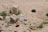 A sandy area with scattered debris and overgrown weeds. Large stones or concrete blocks are partially embedded in the sand alongside a few tires. Various small objects, including a cinder block, a pipe, and some metal items, are visible among the vegetation.