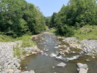 A serene river near Western Mass, highlighting the natural water sources we protect.