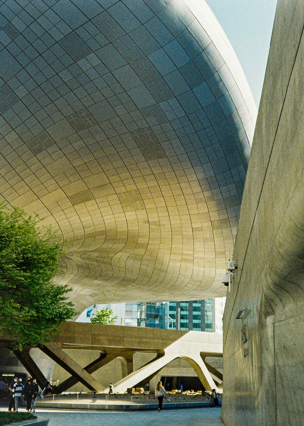 green trees near white concrete building during daytime