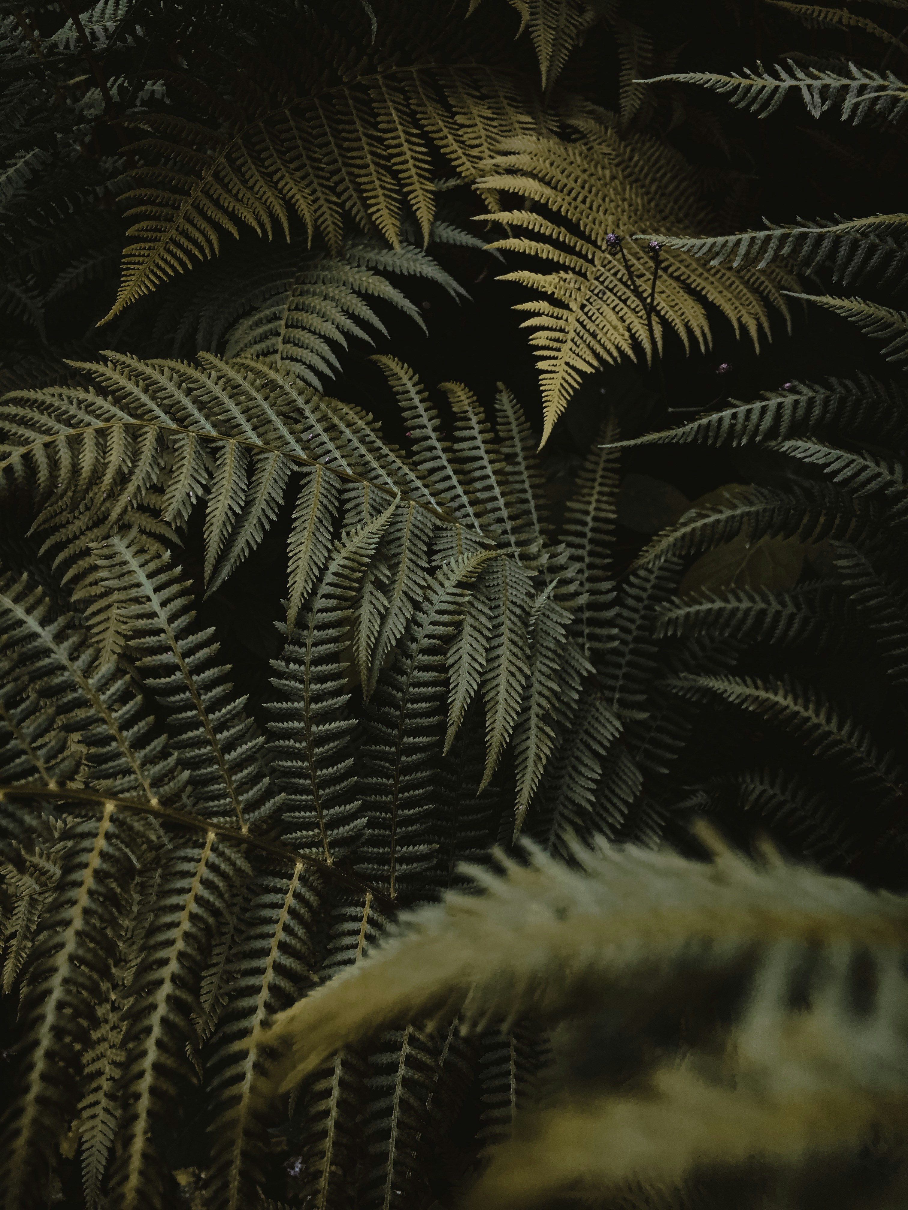 Photo by bullettrainnnnn