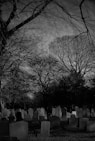 grayscale photo of people sitting on bench near trees