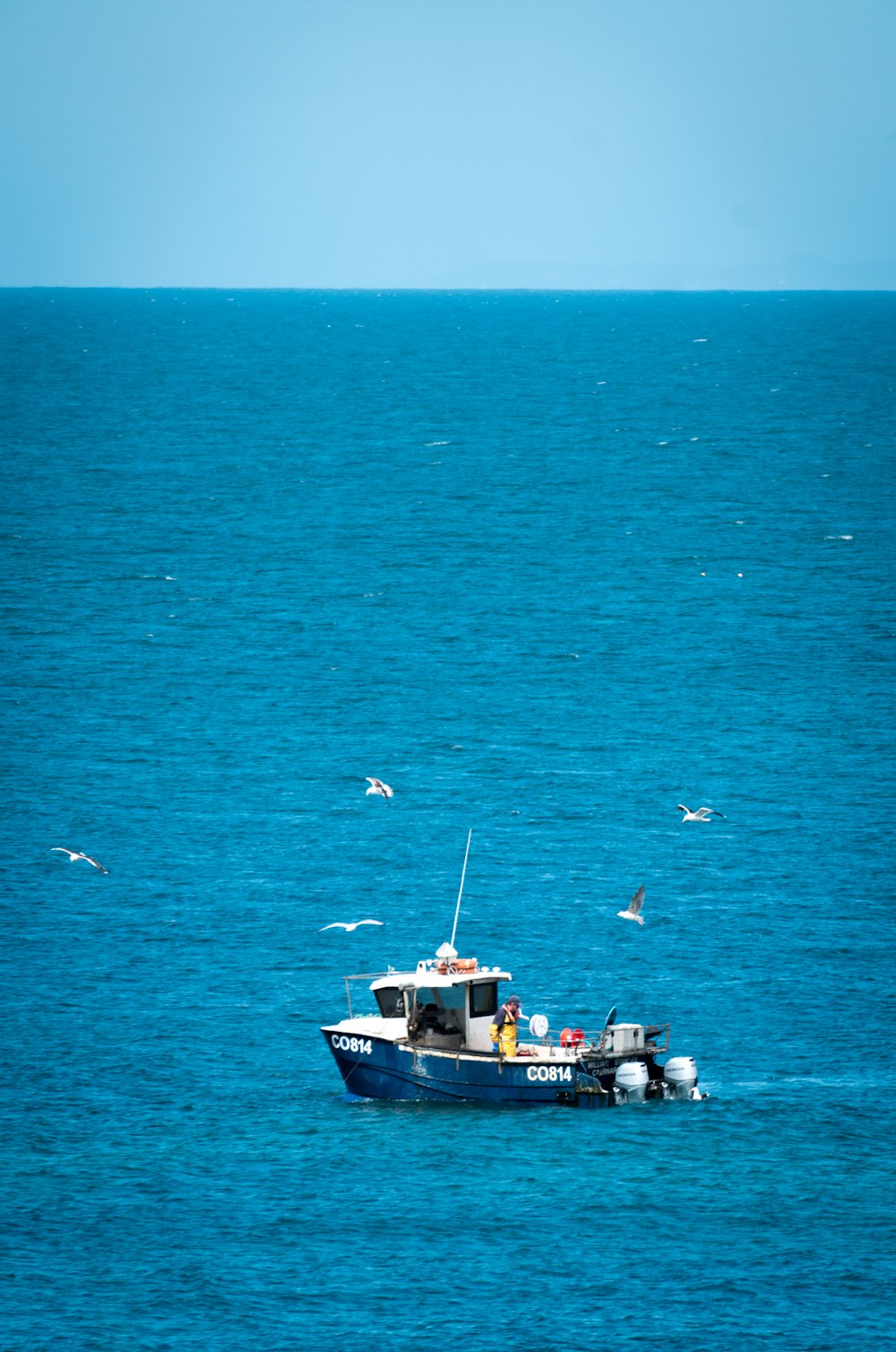 white and black boat on sea during daytime