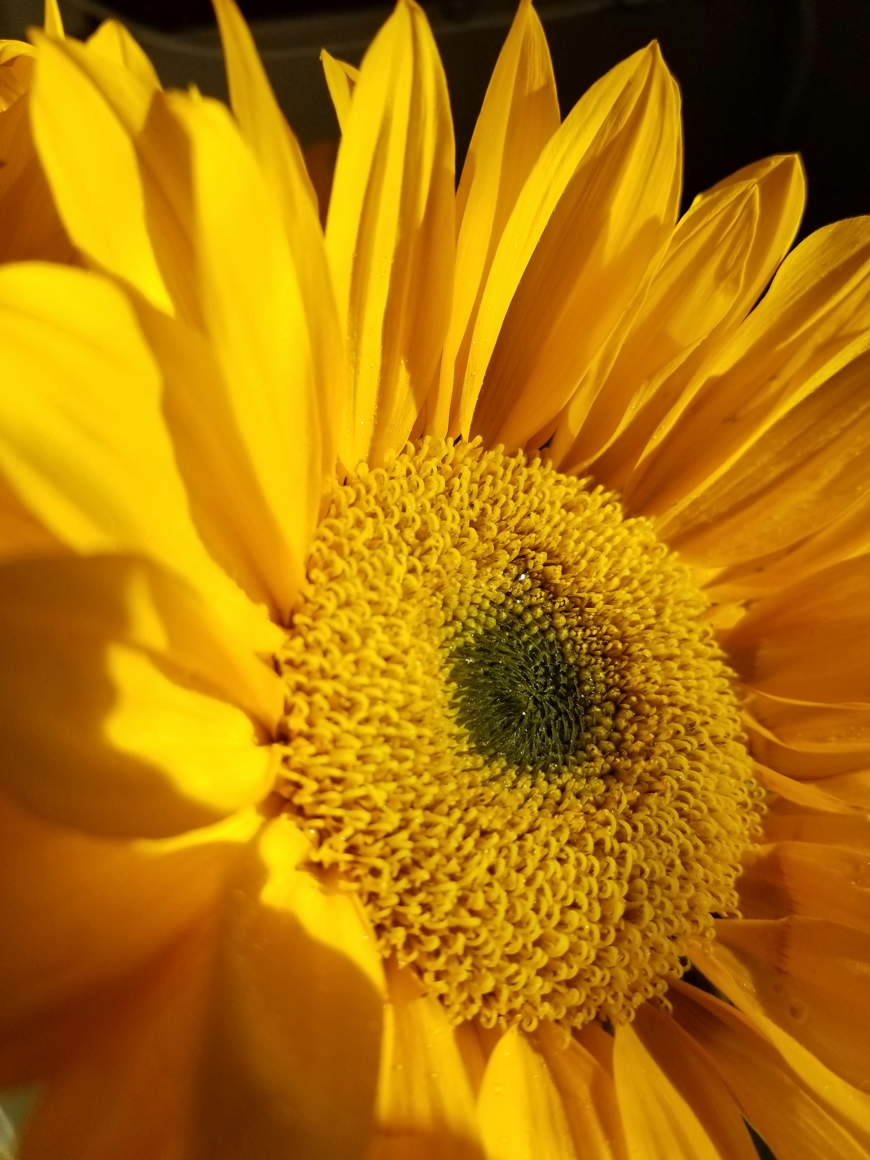 Photo by tejasexplorer