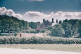A grand, historic mansion with numerous chimneys and intricate architecture sits atop a hill surrounded by dense greenery. In the foreground, a smaller, rustic house with a thatched roof is nestled amidst hedges and trees. The sky is partly cloudy, casting a serene yet slightly moody atmosphere over the landscape.