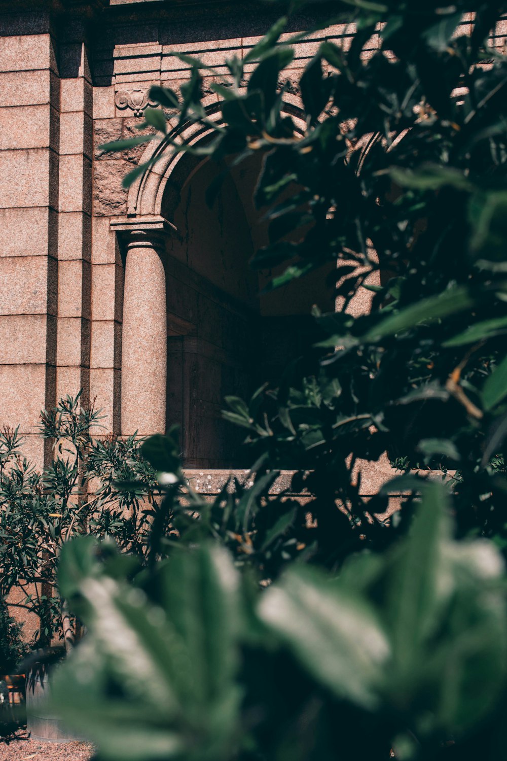 green plants beside brown brick wall