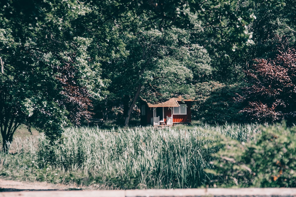 rotes und braunes Holzhaus inmitten eines grünen Grasfeldes