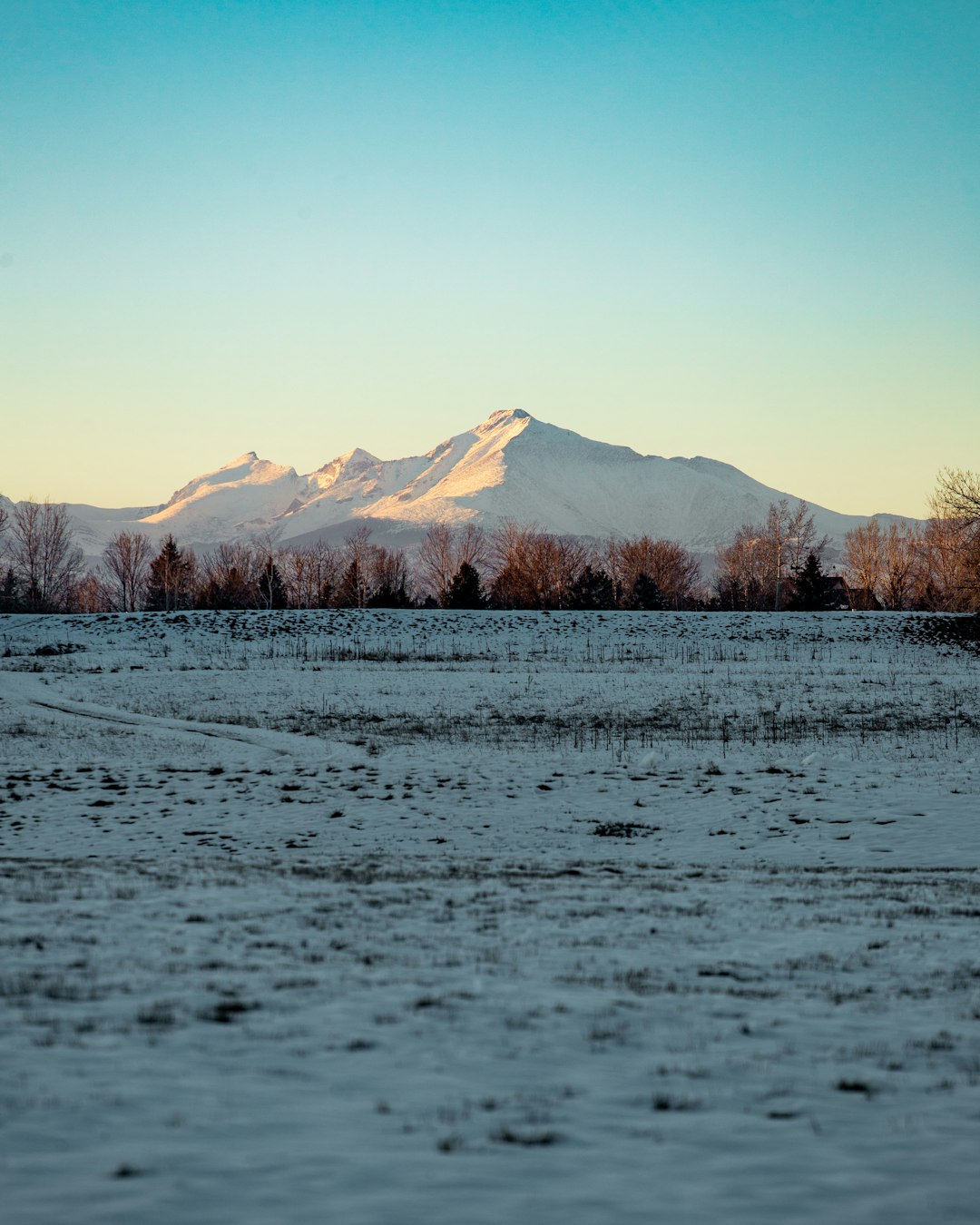 snow covered mountain during daytime