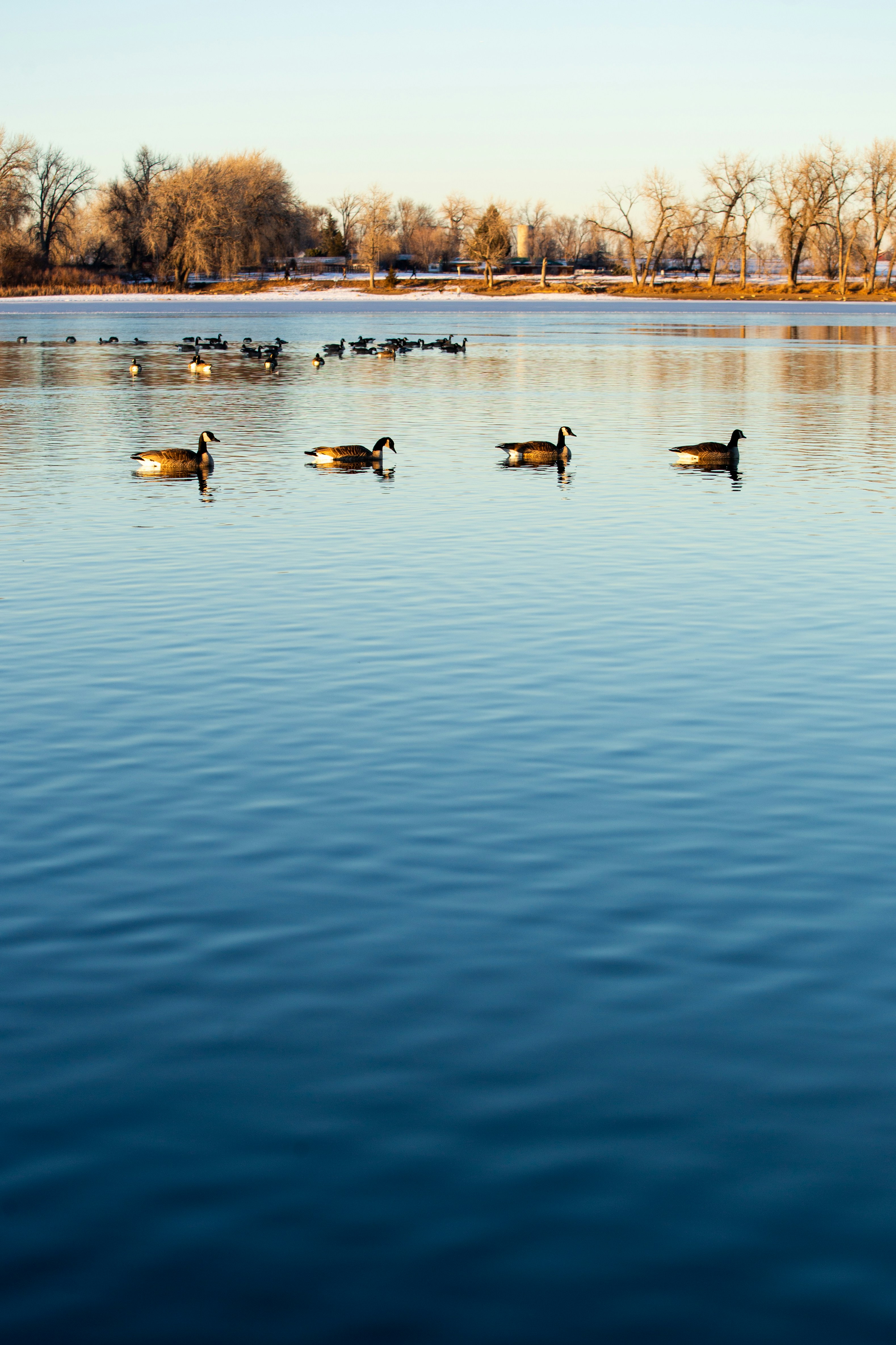 Photo by benjamin_deyoung