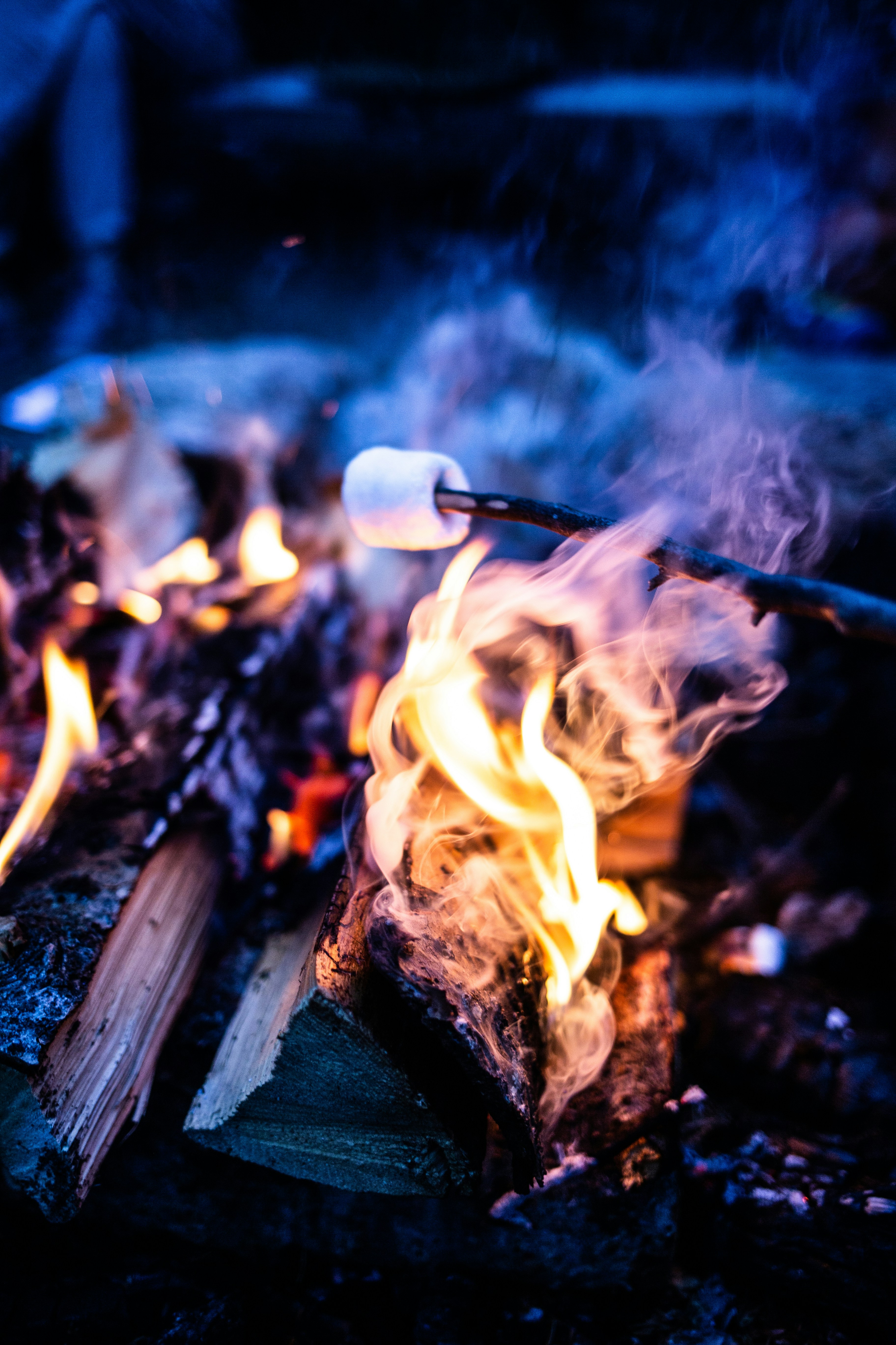 Photo by benjamin_deyoung