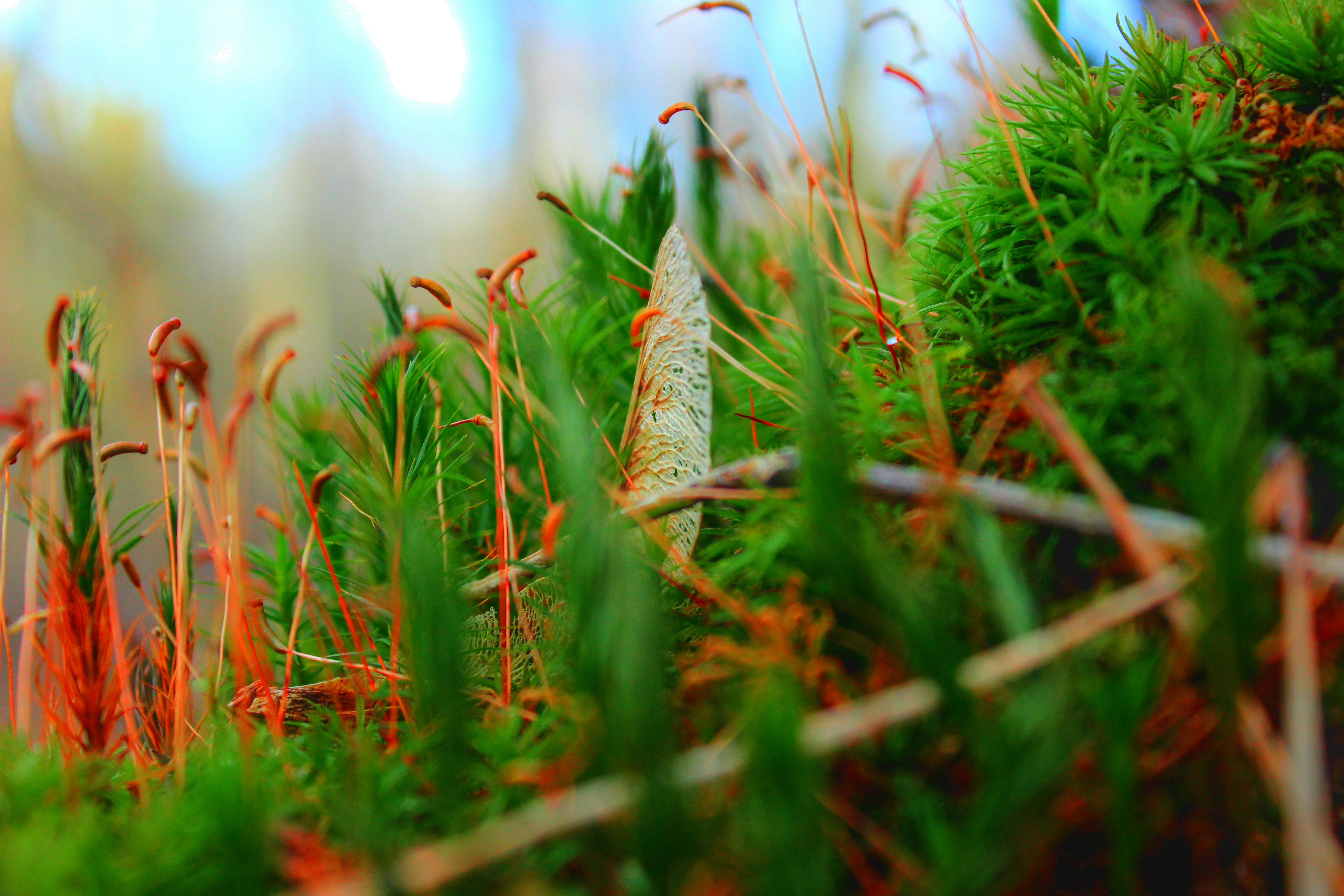 Photo by duschreiben