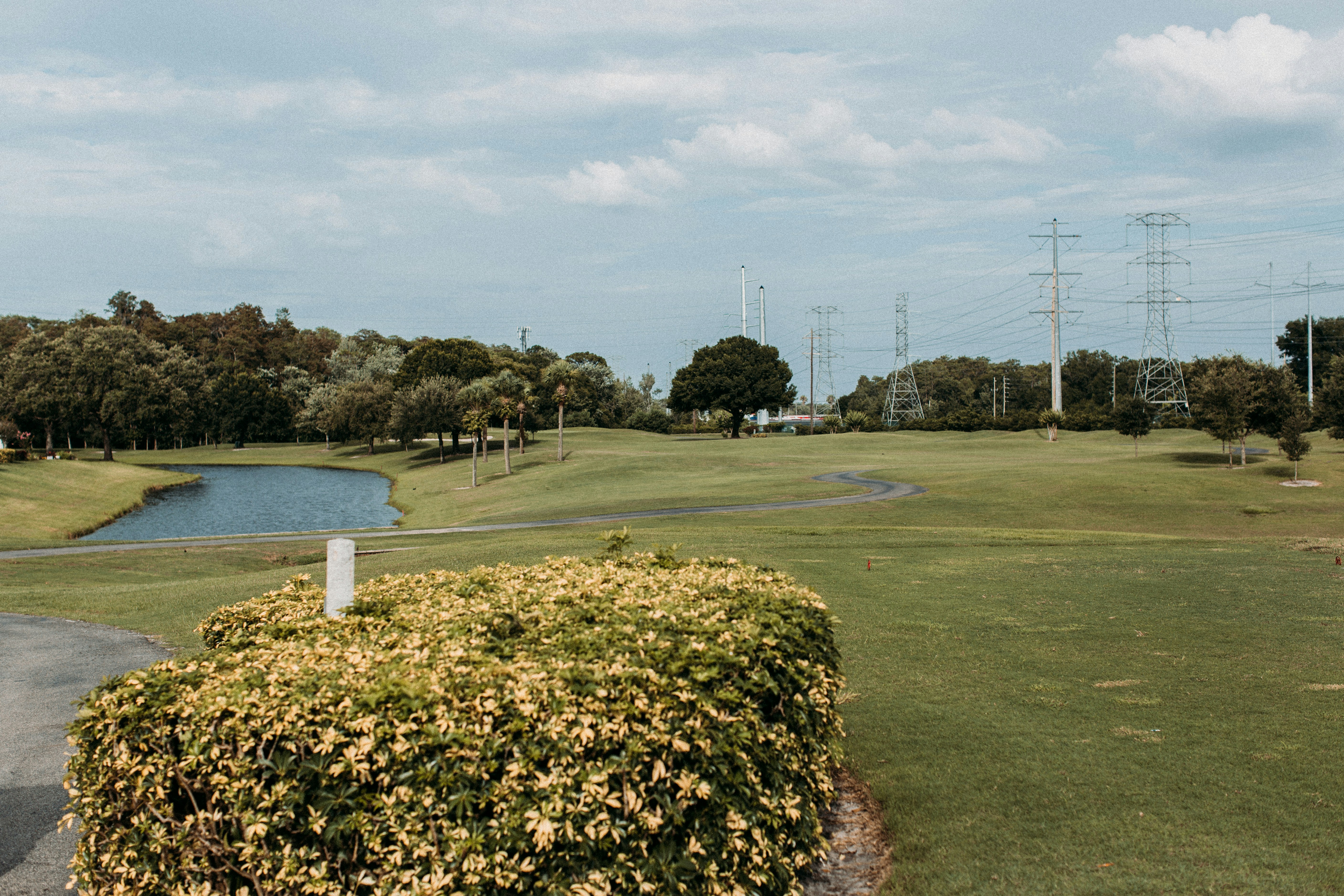 green grass field near body of water during daytime