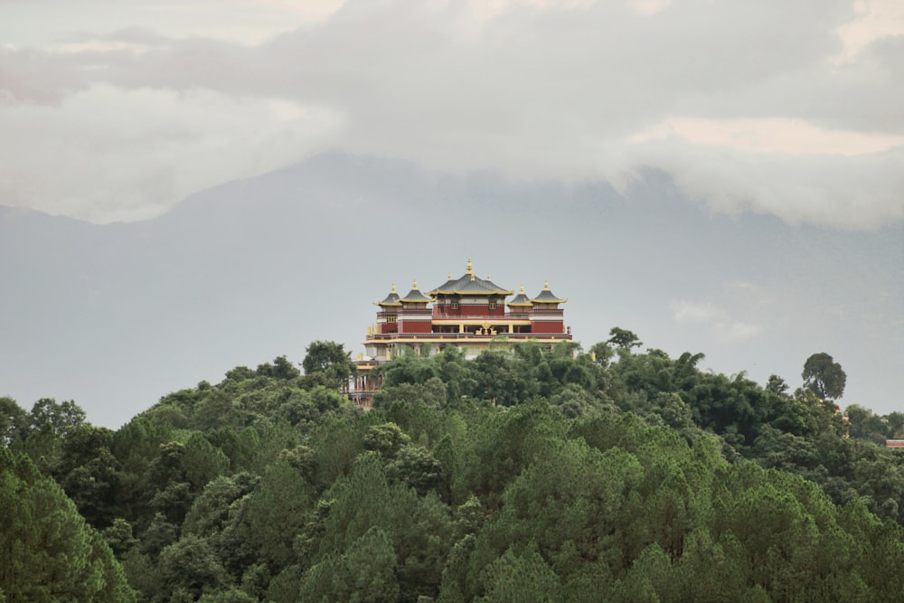 red and white temple surrounded by green trees during daytime