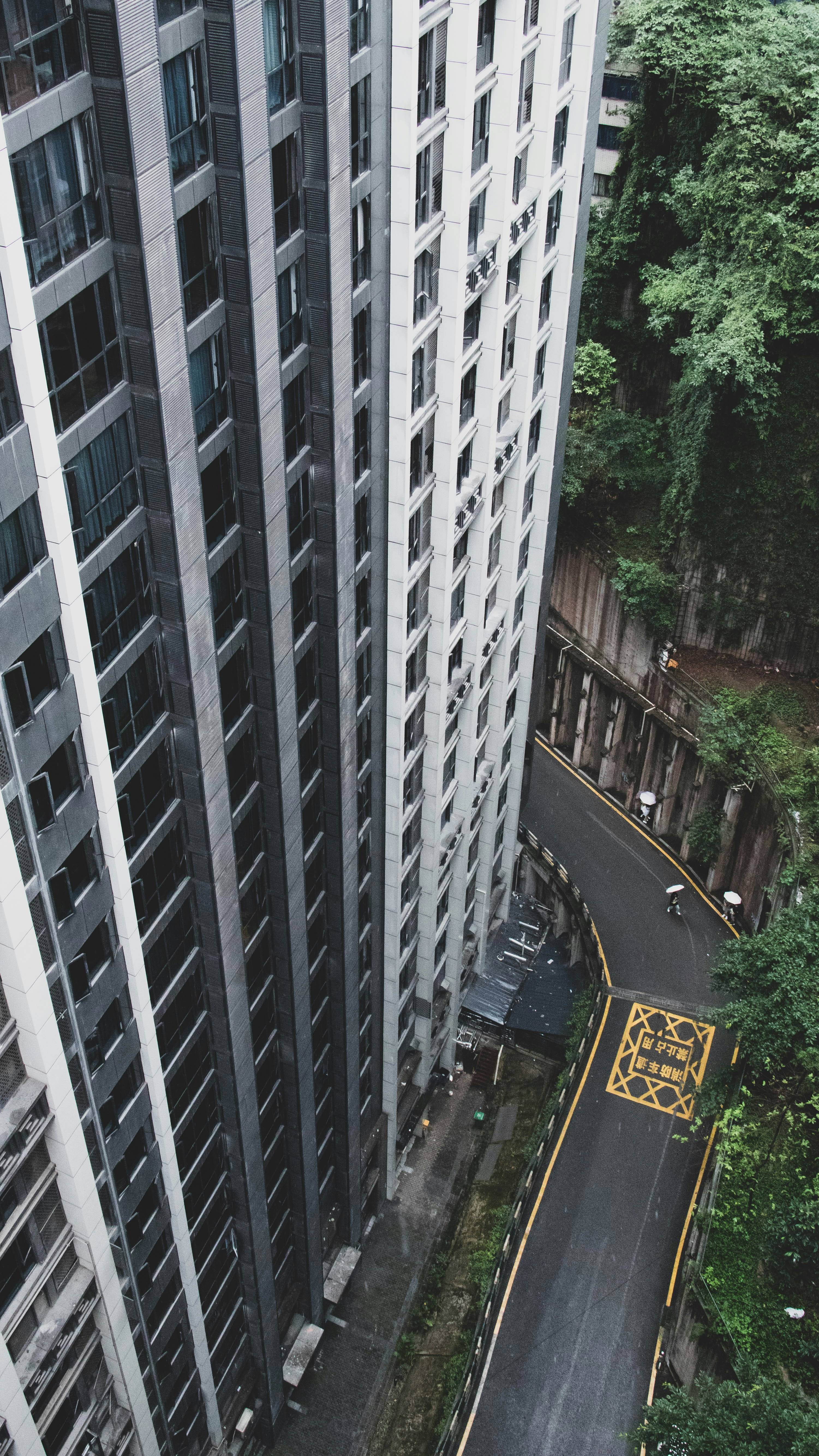 cars on road in between high rise buildings during daytime