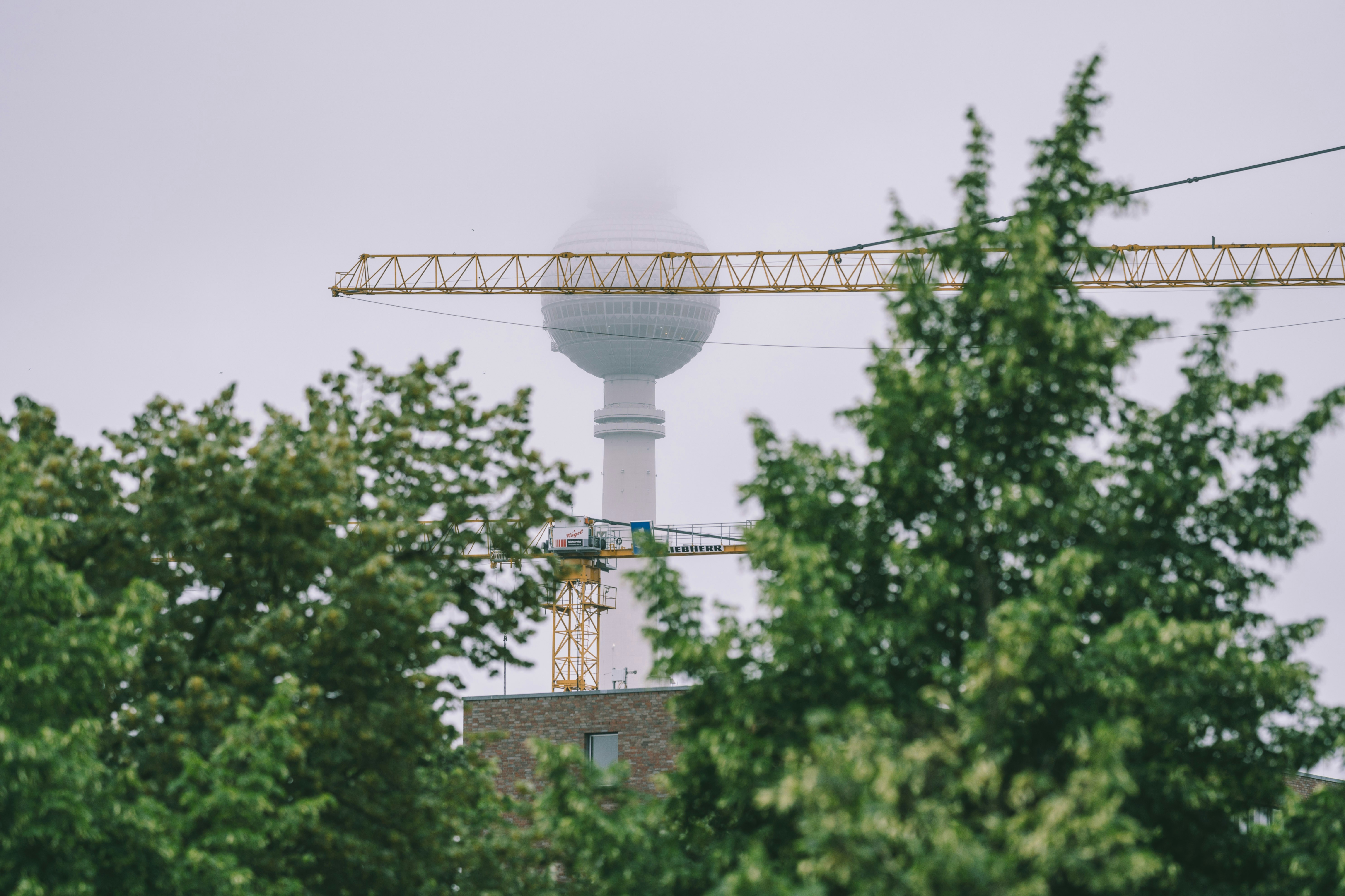 green trees near white tower