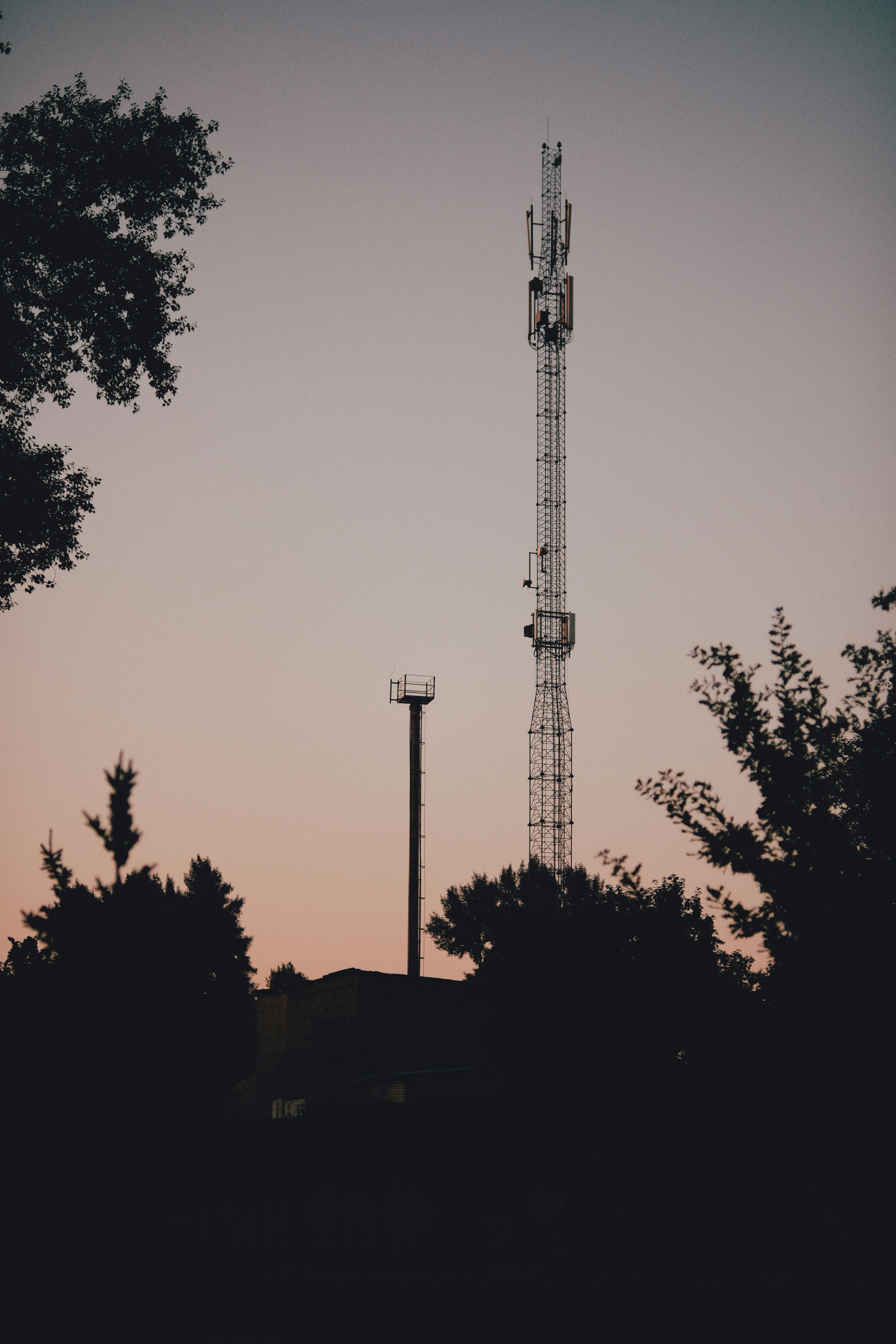 silhouette of trees and tower during sunset