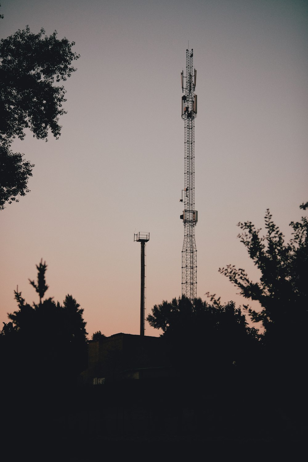 silhouette di alberi e torre durante il tramonto