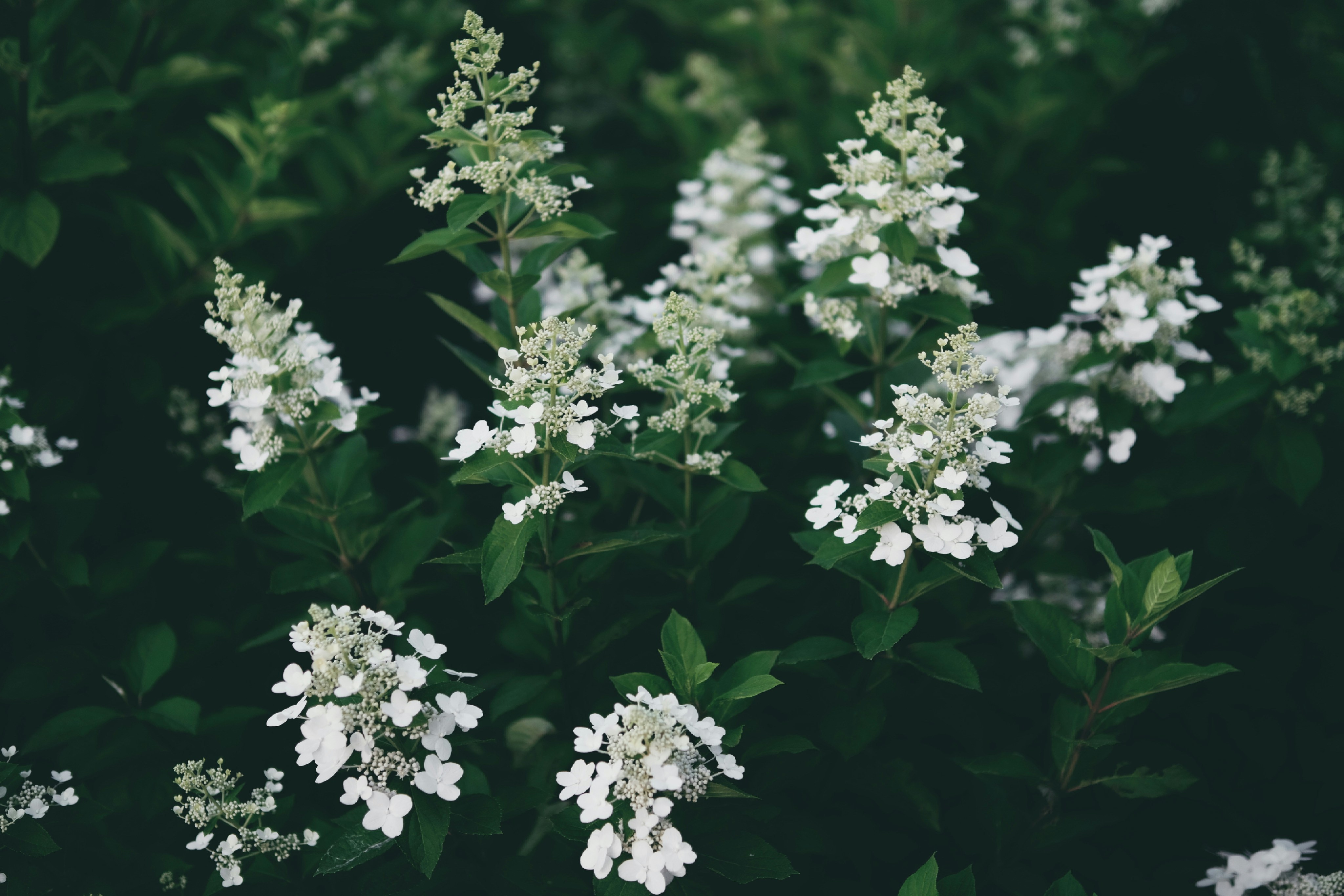 Photo by egorkomarov