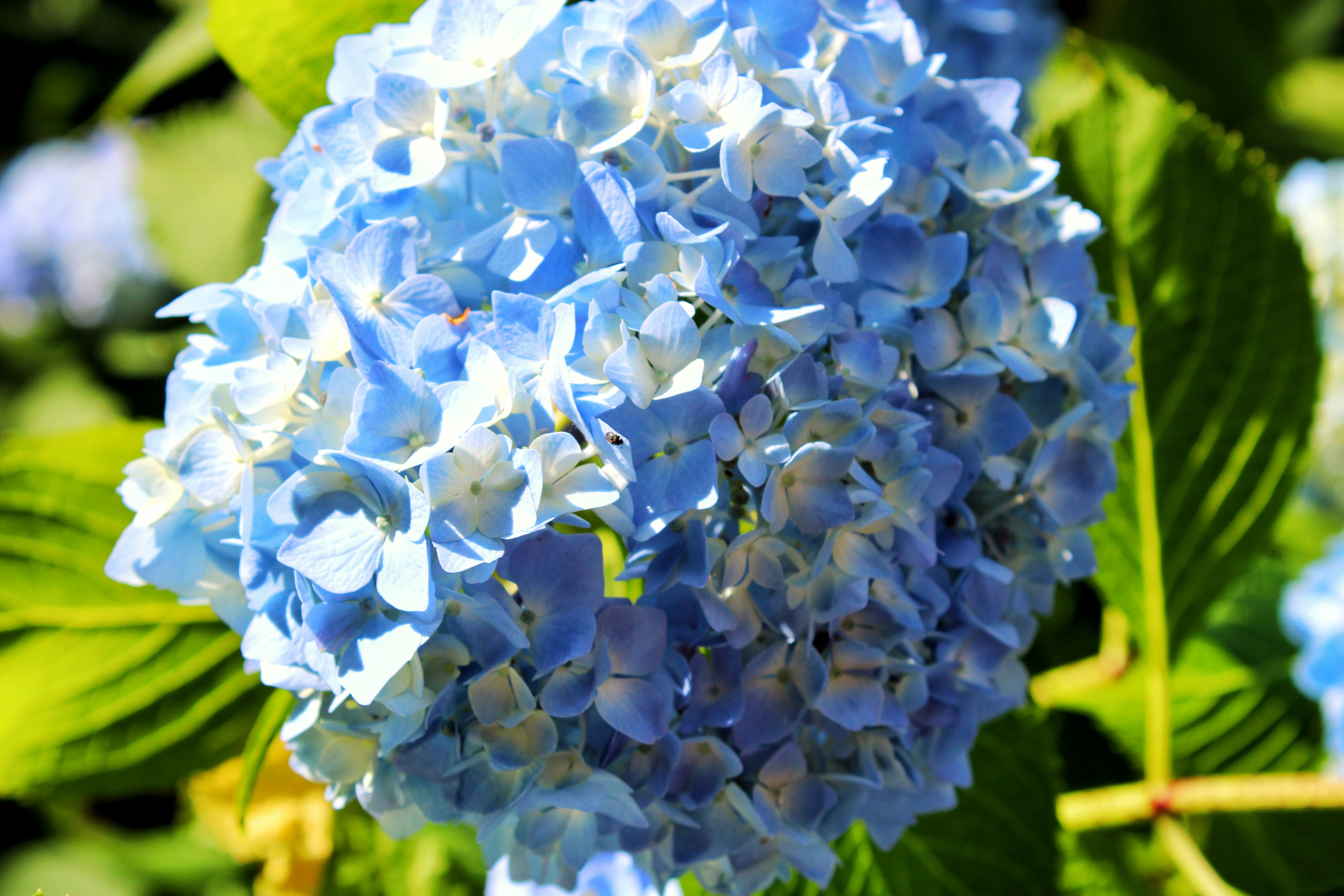 Photo by starbutterfly