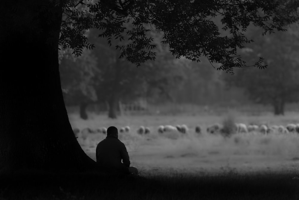 silhouette of man sitting on grass field during daytime