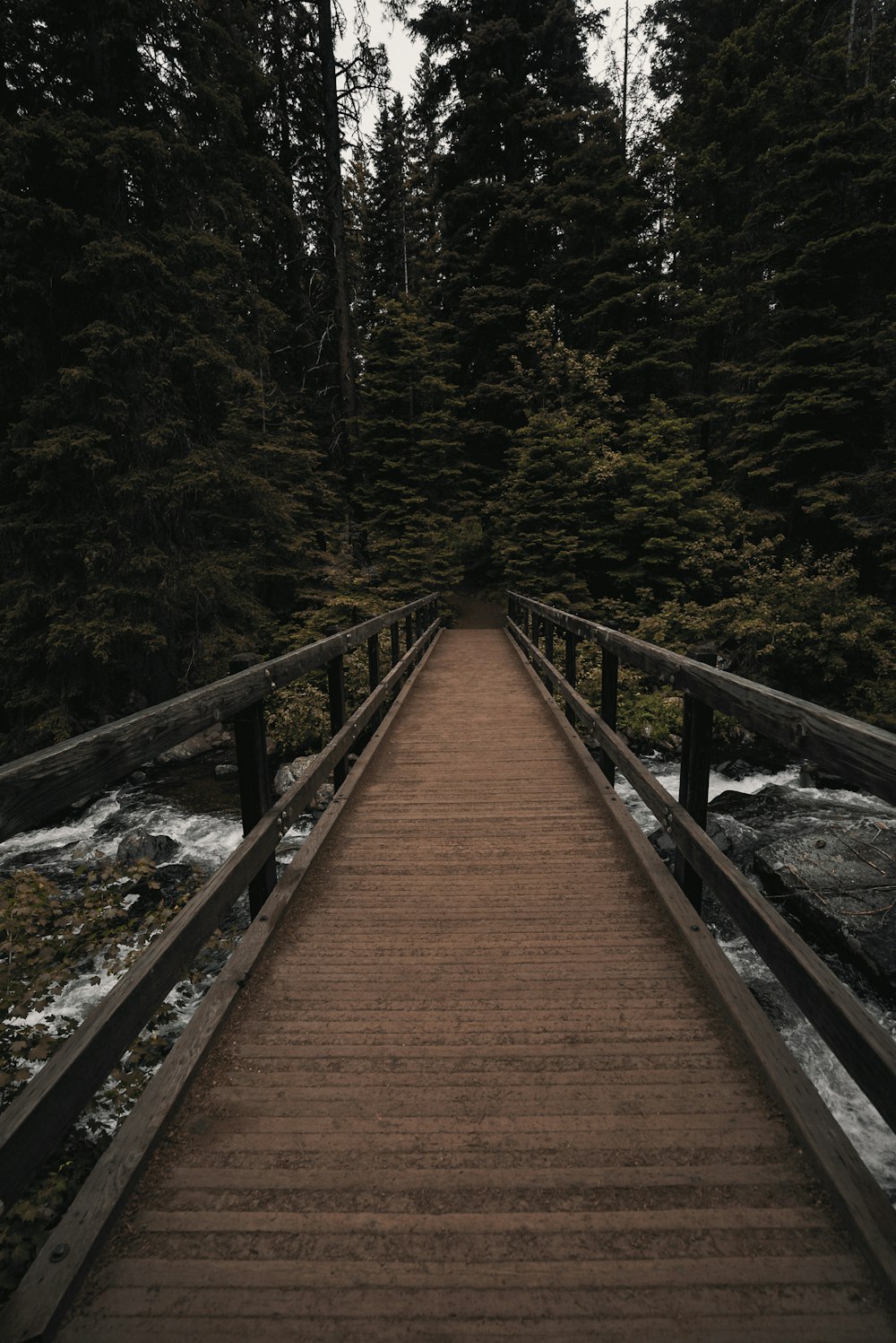 Puente de madera marrón sobre el río