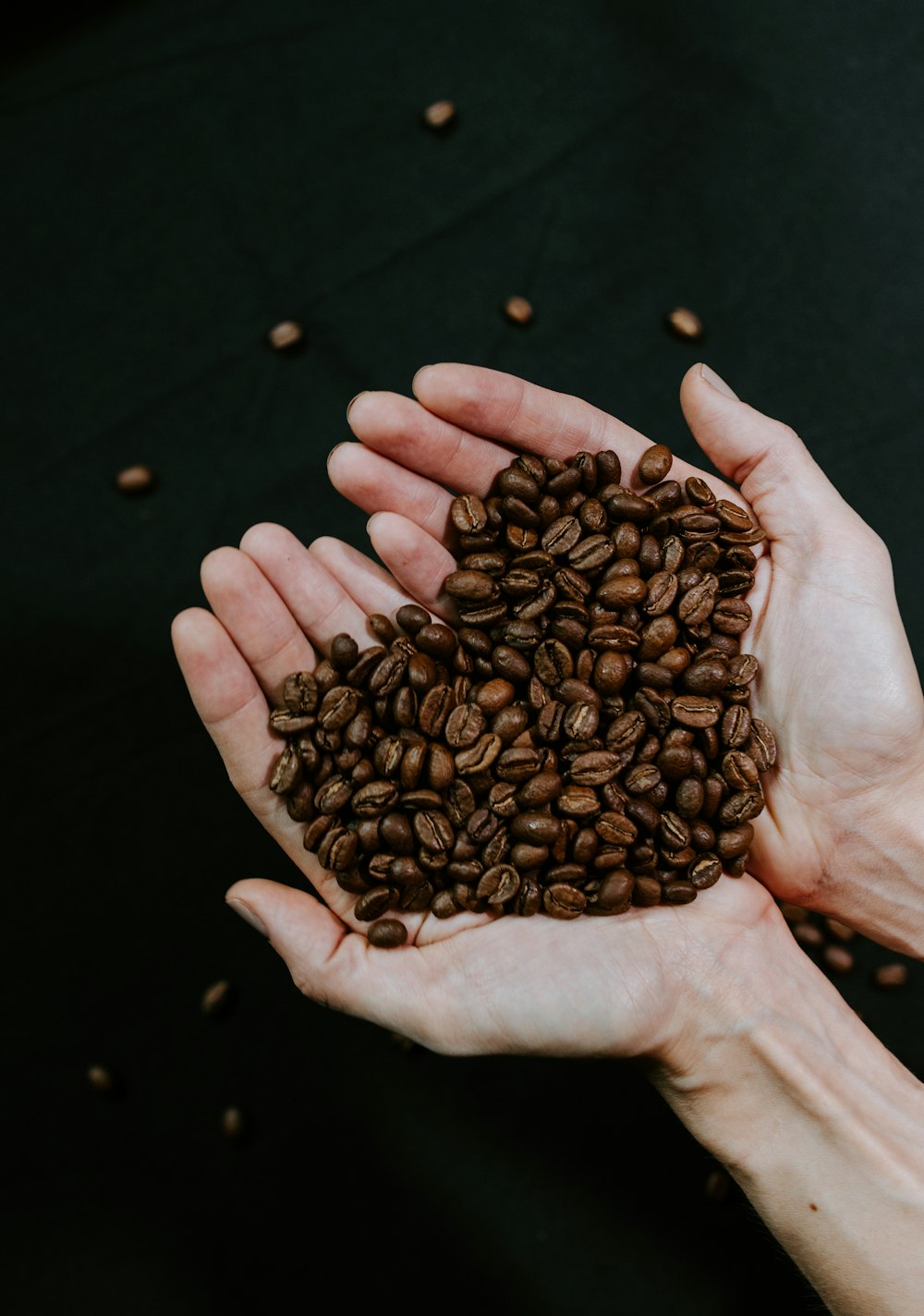 brown coffee beans on persons hand