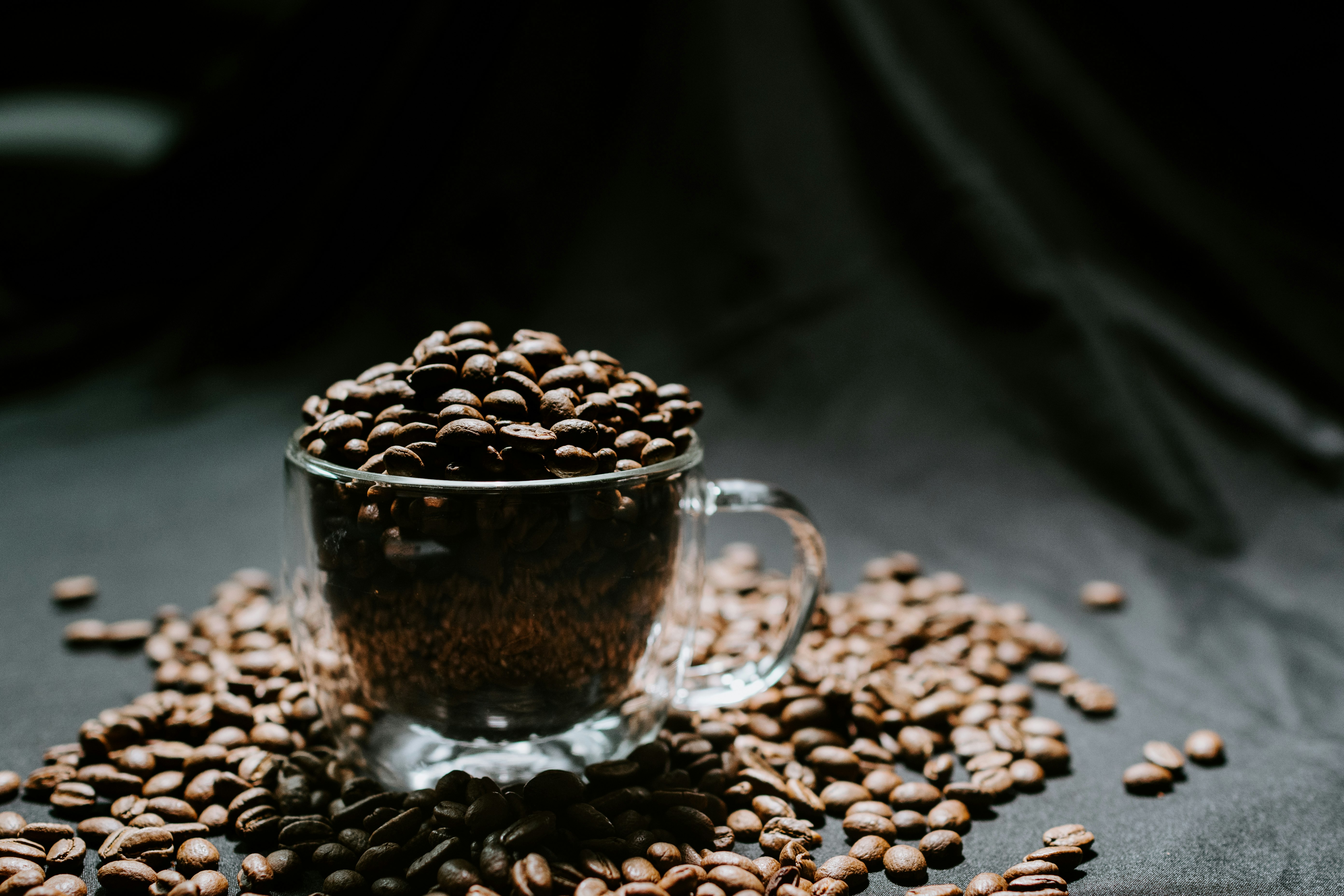 coffee beans in clear glass mug