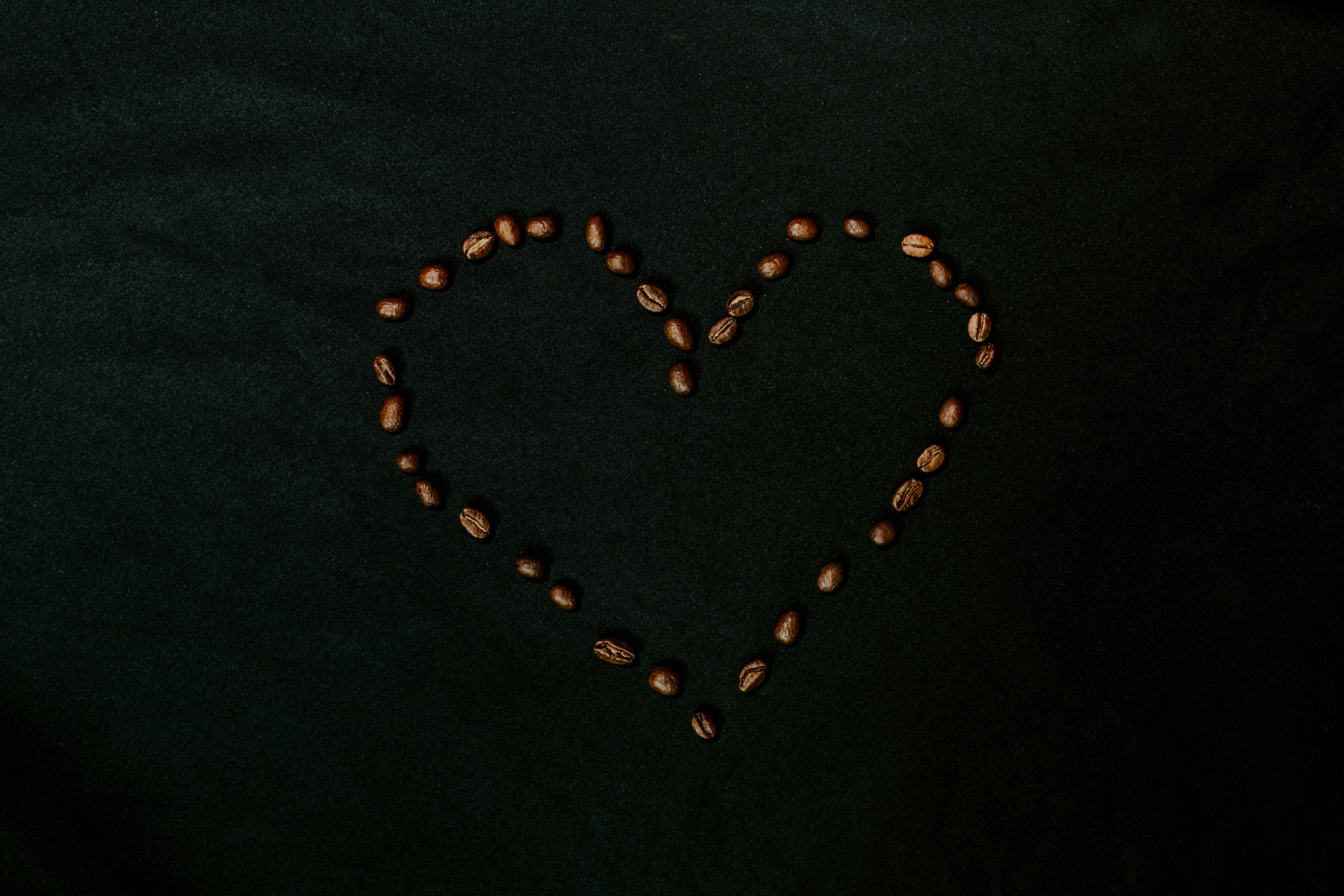 Photo by kellysikkema