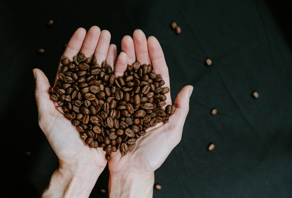 brown coffee beans on persons hand