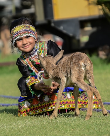 A young girl wearing colorful traditional clothing and a beaded headband is kneeling on grass, feeding a baby deer from a bottle. The scene is outdoors with a blurred background.