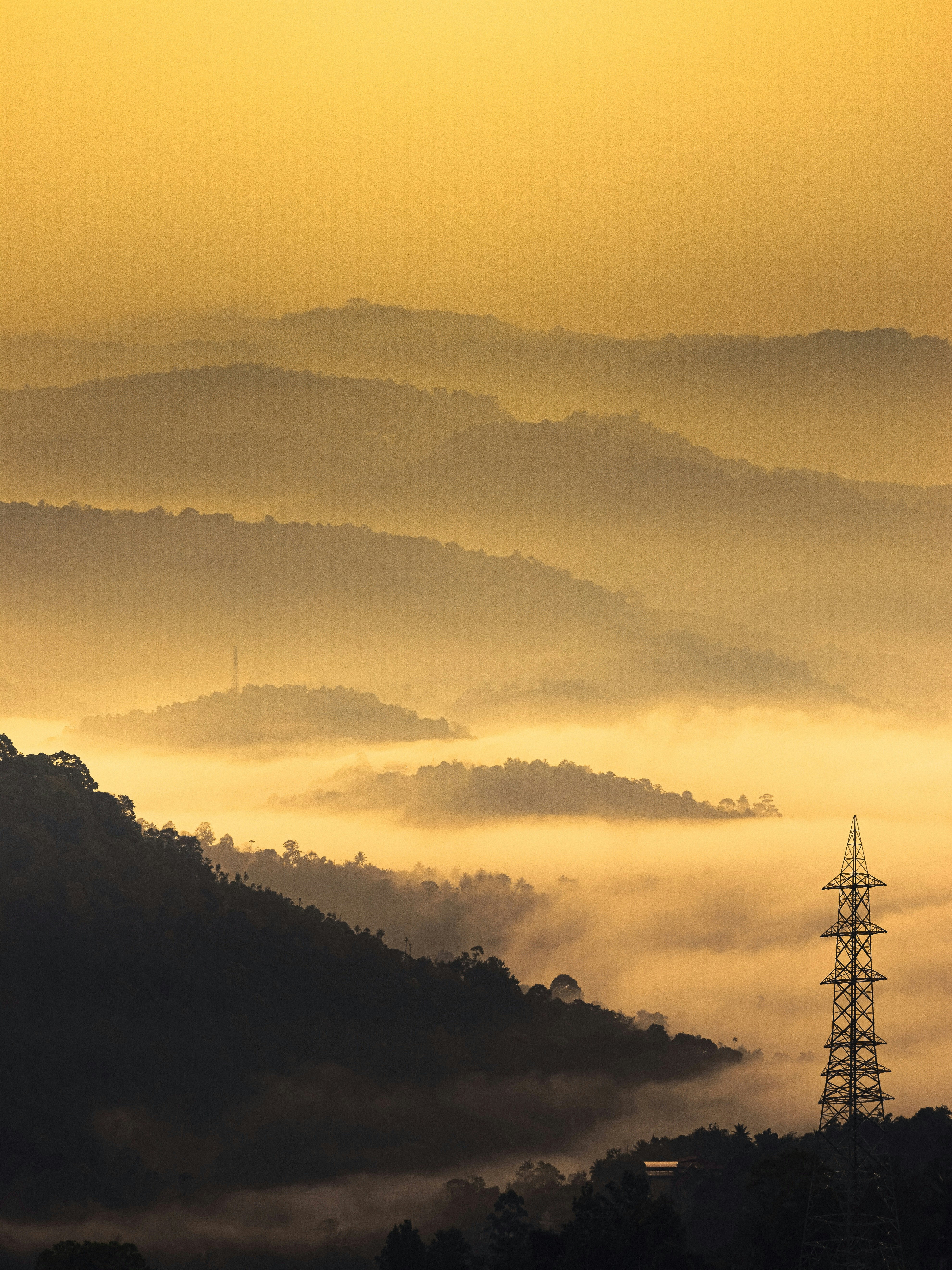 Photo by navi_photography