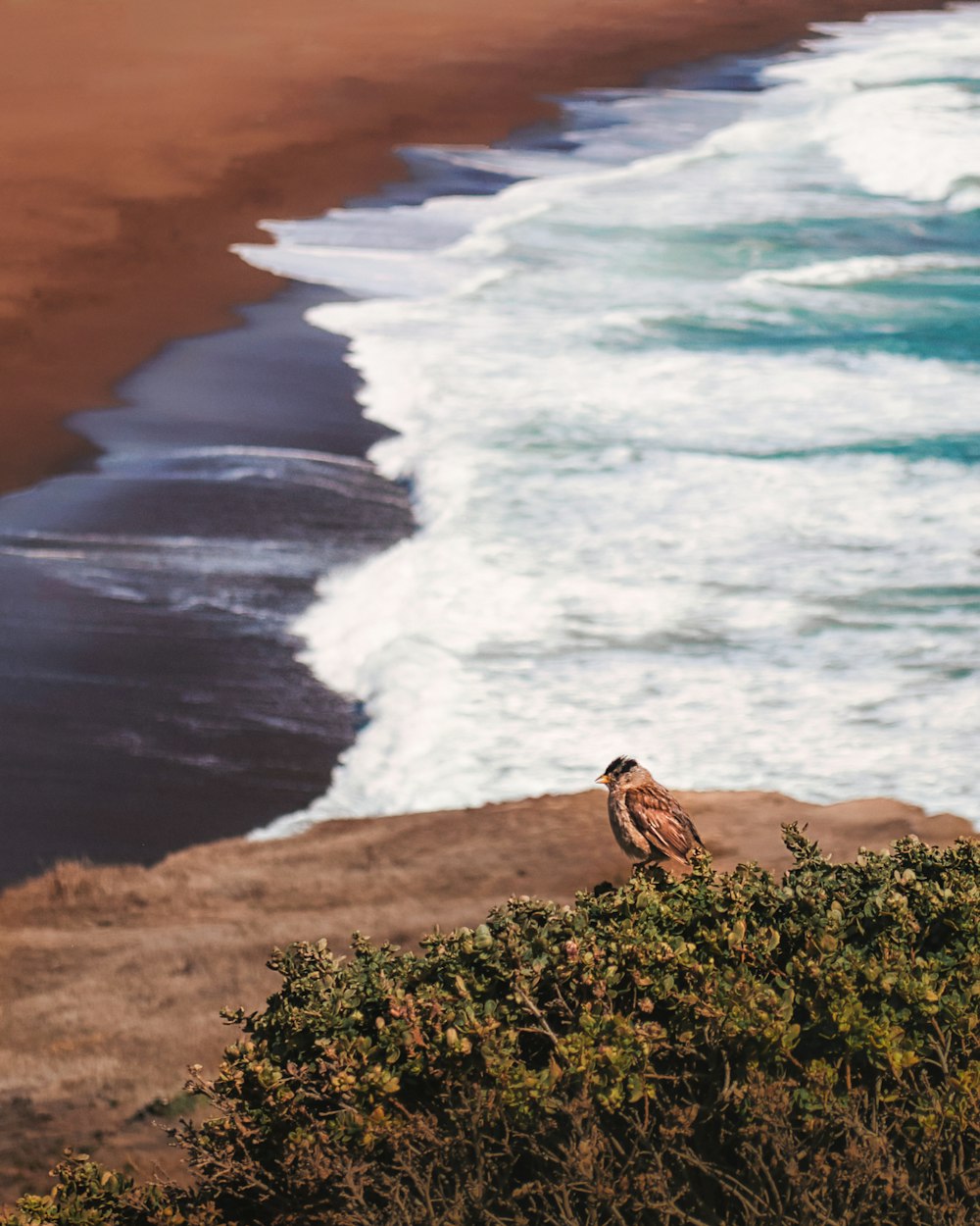 woman in black tank top sitting on brown rock near body of water during daytime