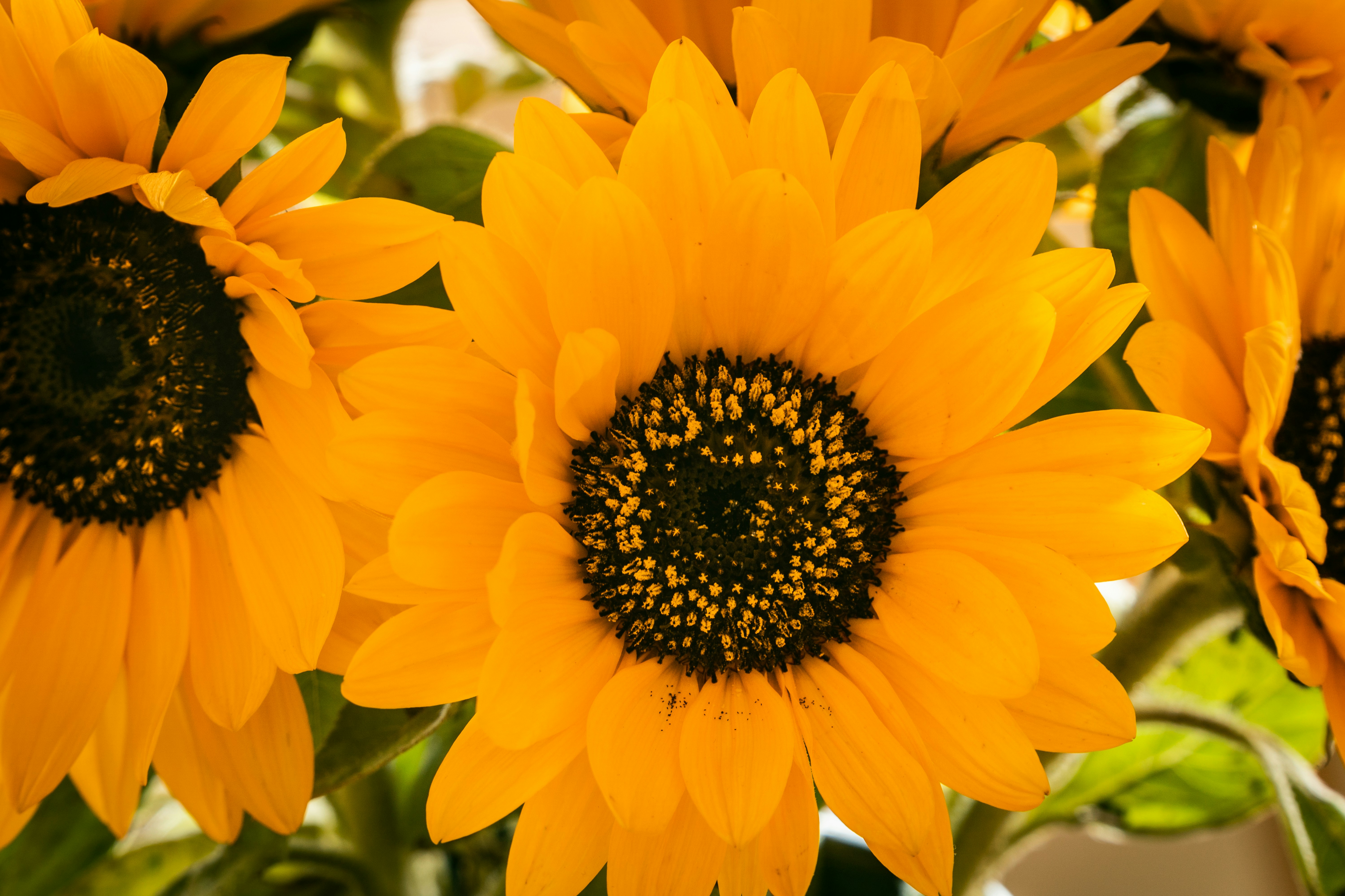 Photo by earl_plannerzone