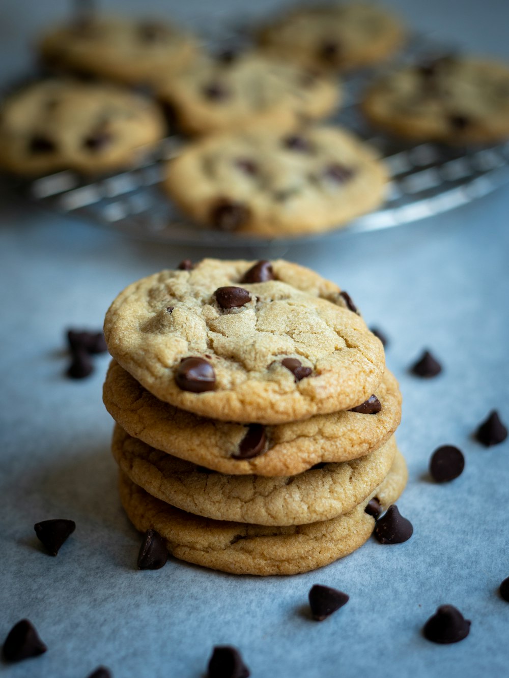 brown cookies on white ceramic plate